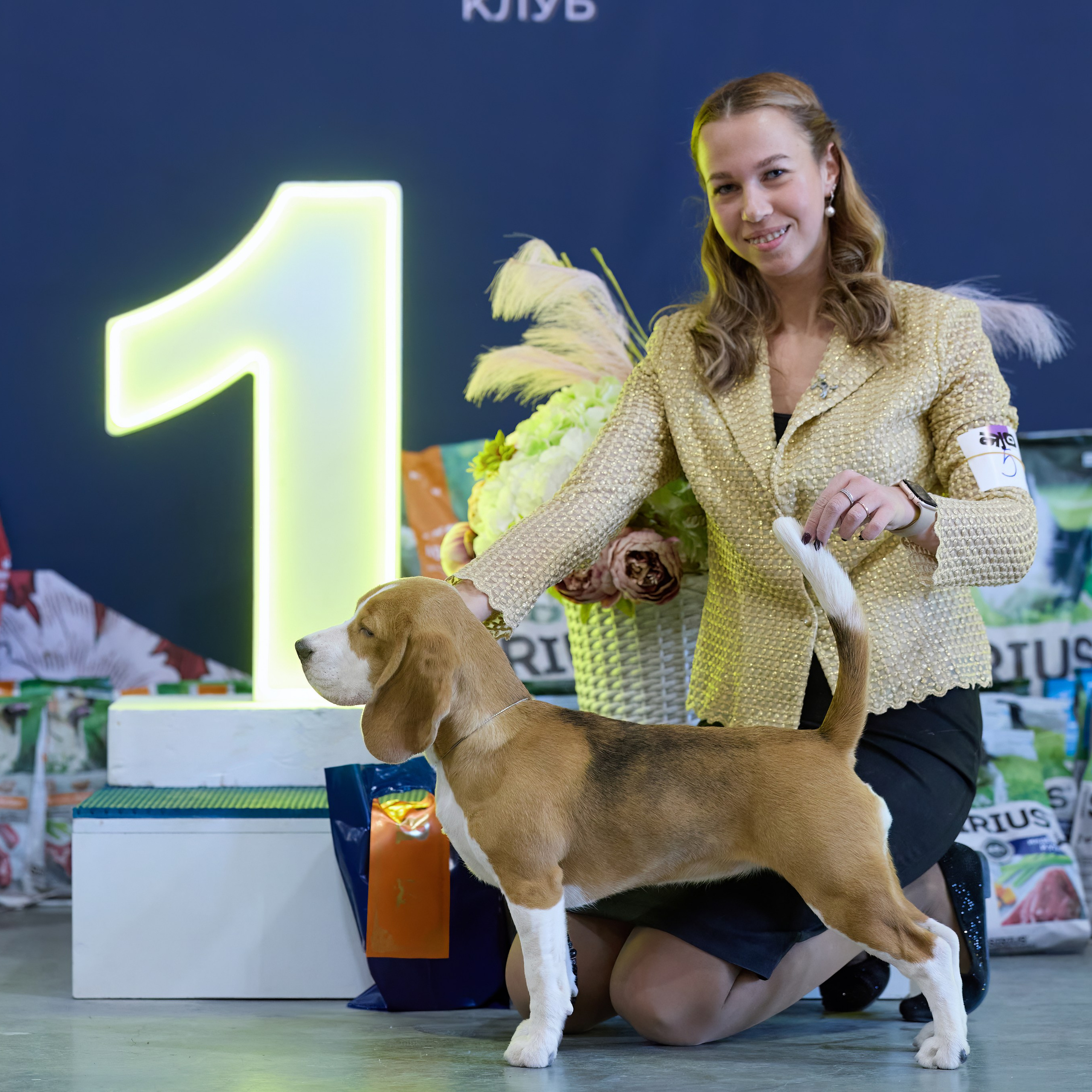 21.03.2026 СПб РОО РУССКИЙ СТИЛЬ. ВЫСТАВКА СОБАК ВСЕХ ПОРОД (САС, ЧФ). Кинологический клуб РКФ РФСС СЕНСАЦИЯ