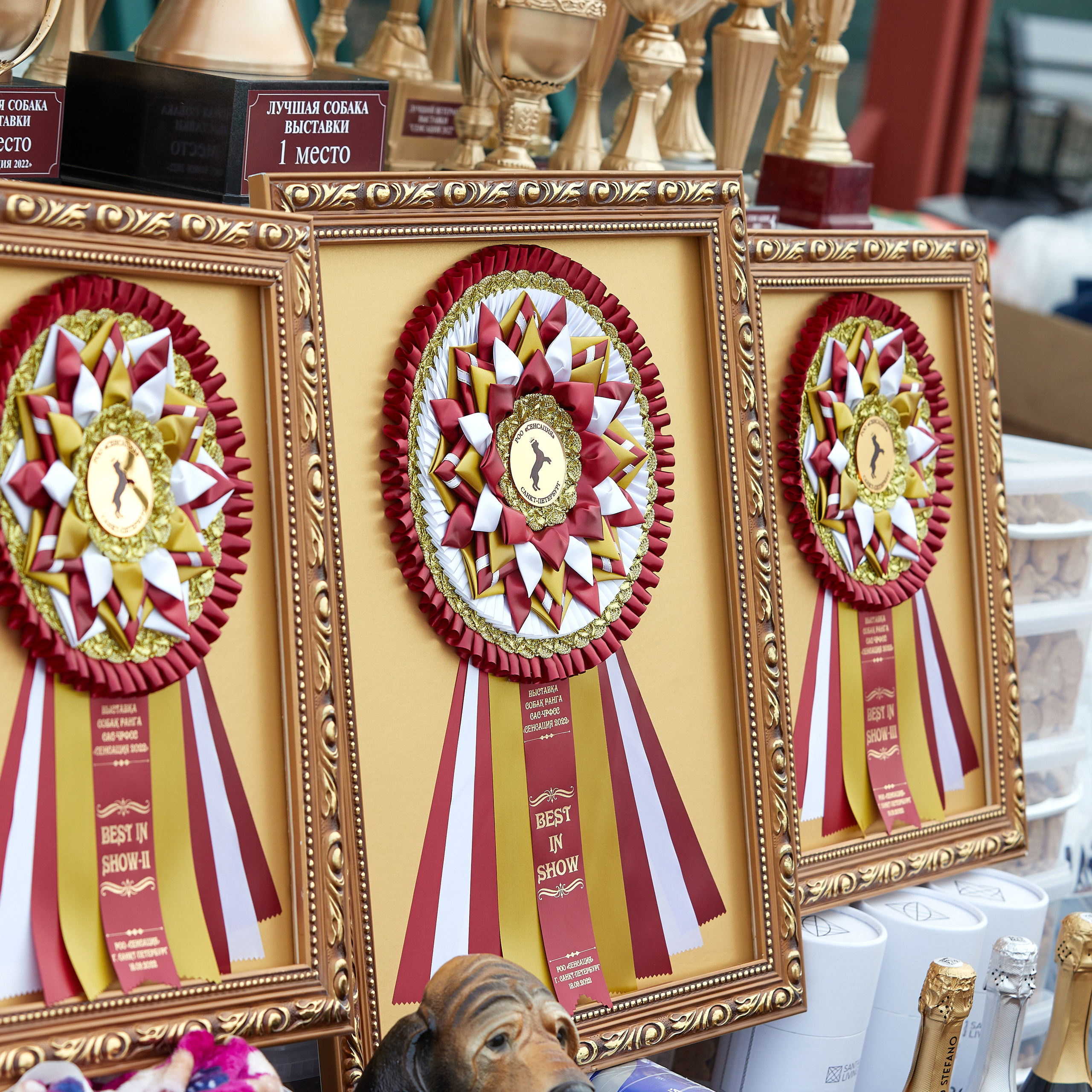 18.09.22 ВЫСТАВКА СОБАК ВСЕХ ПОРОД (CAC, ЧФ) «СЕНСАЦИЯ-2022». Кинологический клуб РКФ РФСС СЕНСАЦИЯ