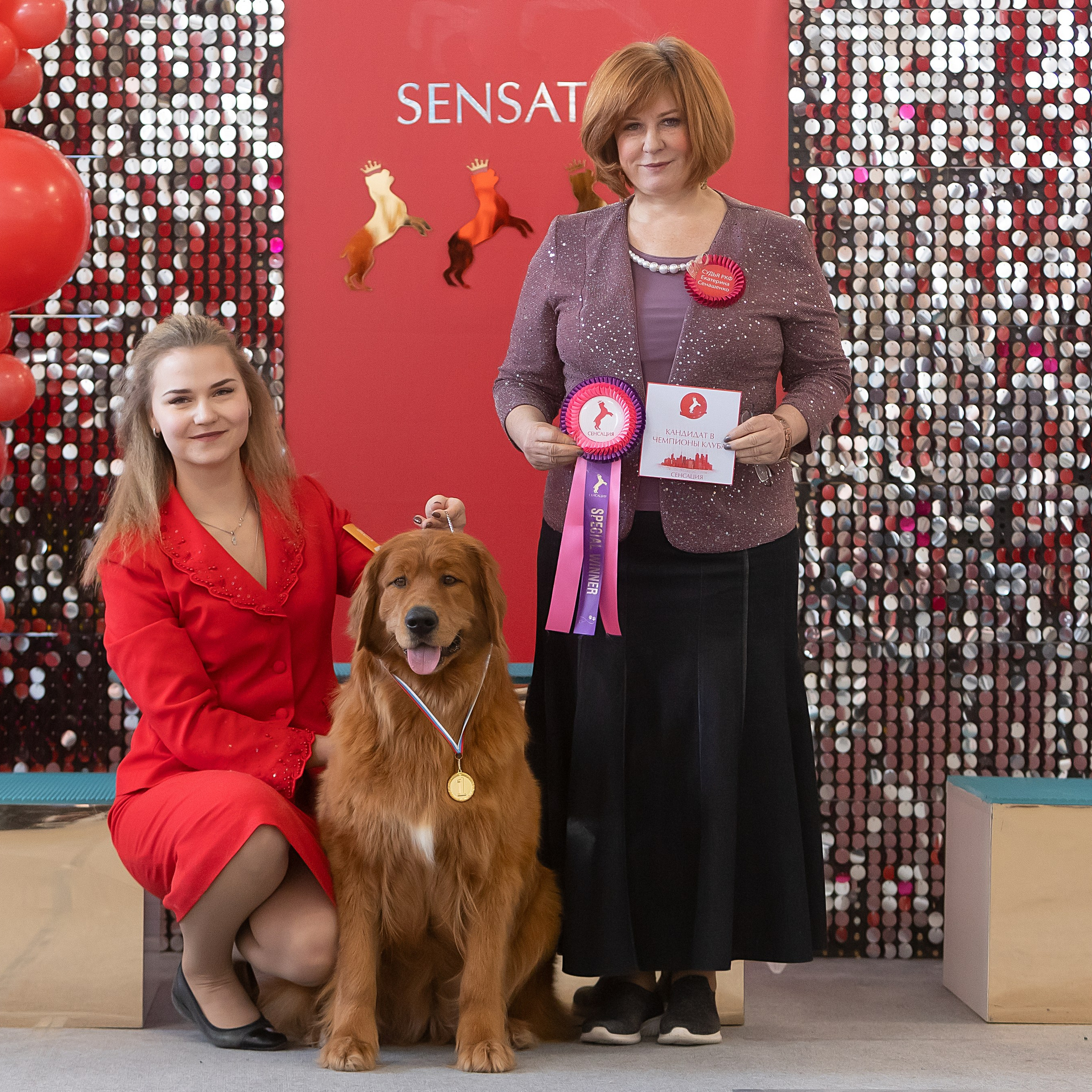 10-11.02.2024 ВЫСТАВКА СОБАК ВСЕХ ПОРОД (САС, ЧФ). Кинологический клуб РКФ РФСС СЕНСАЦИЯ