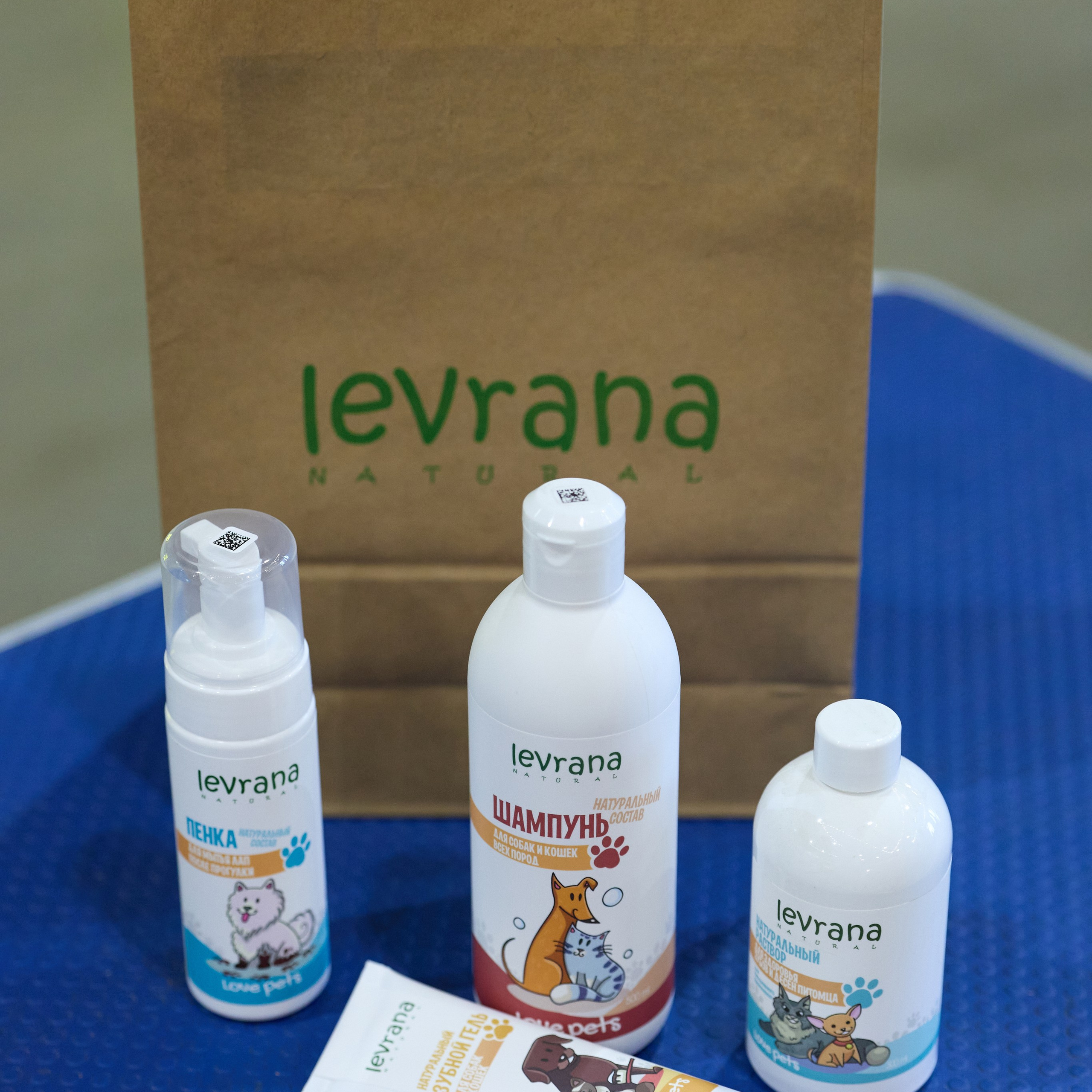 21.03.2026 СПб РОО РУССКИЙ СТИЛЬ. ВЫСТАВКА СОБАК ВСЕХ ПОРОД (САС, ЧФ). Кинологический клуб РКФ РФСС СЕНСАЦИЯ