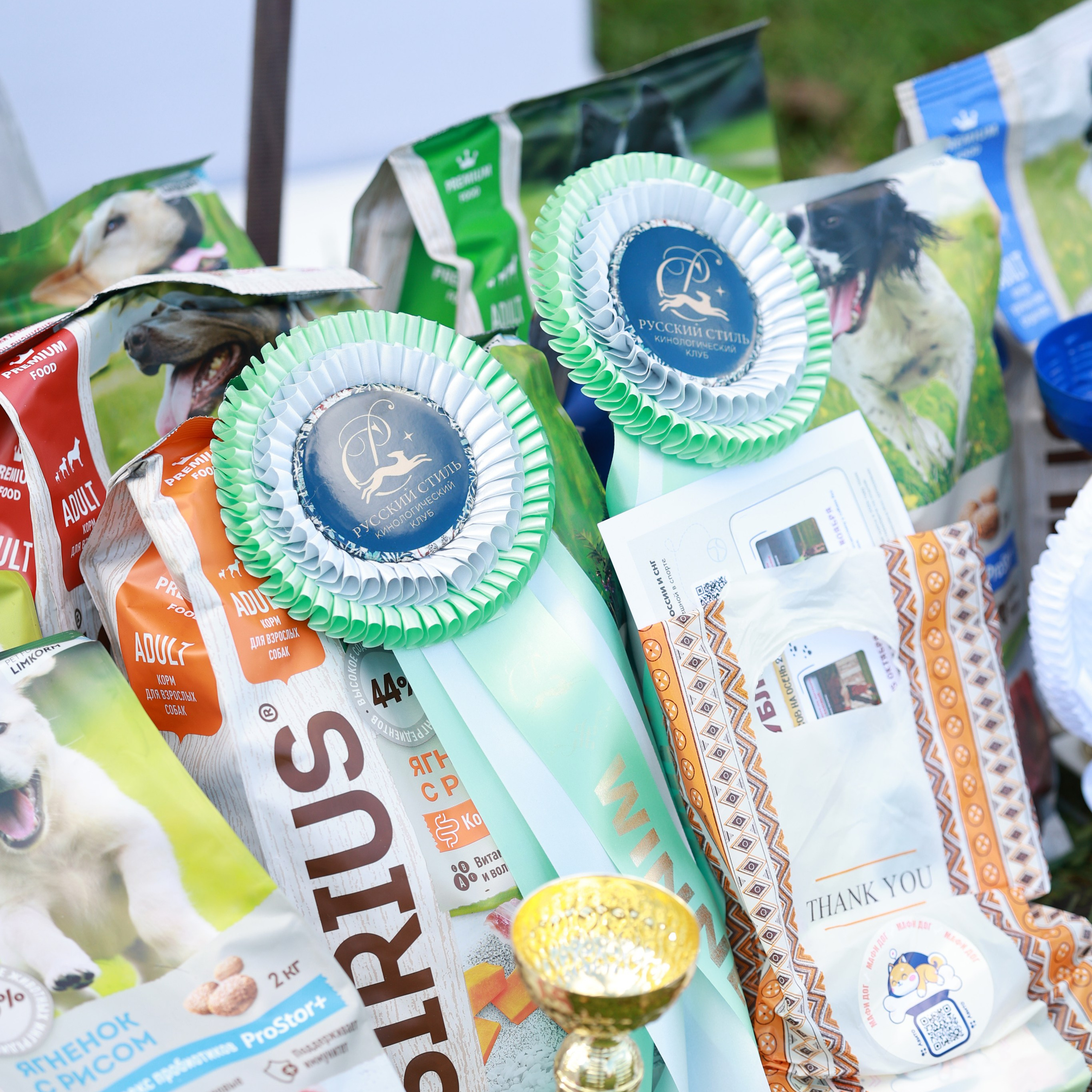 27-28.09.2025 ВЫСТАВКИ СОБАК ВСЕХ ПОРОД (САС, ЧРКФ, ЧФ). Кинологический клуб РКФ РФСС СЕНСАЦИЯ