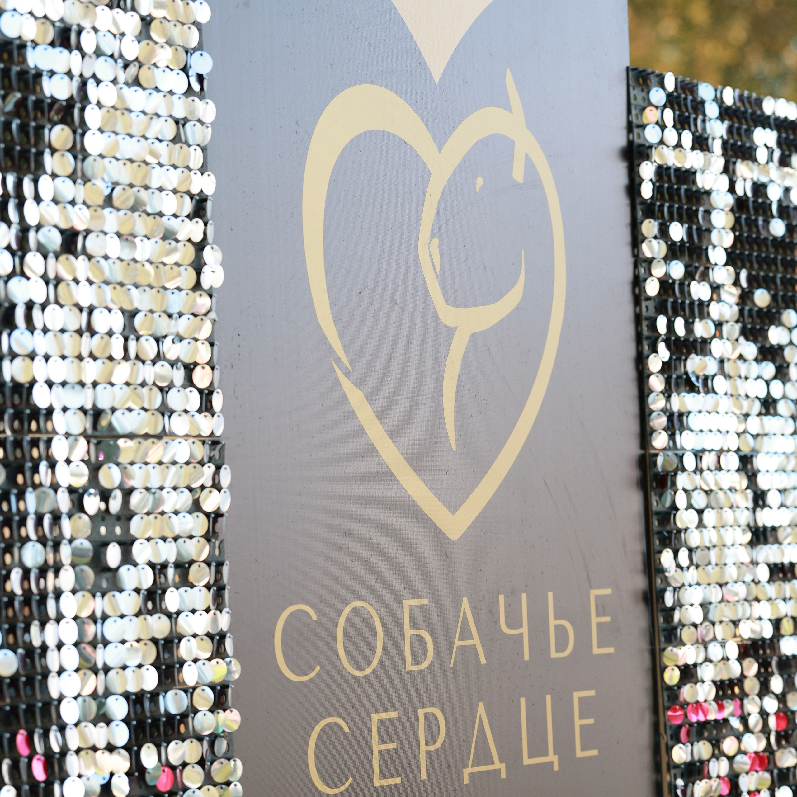 27-28.09.2025 ВЫСТАВКИ СОБАК ВСЕХ ПОРОД (САС, ЧРКФ, ЧФ). Кинологический клуб РКФ РФСС СЕНСАЦИЯ