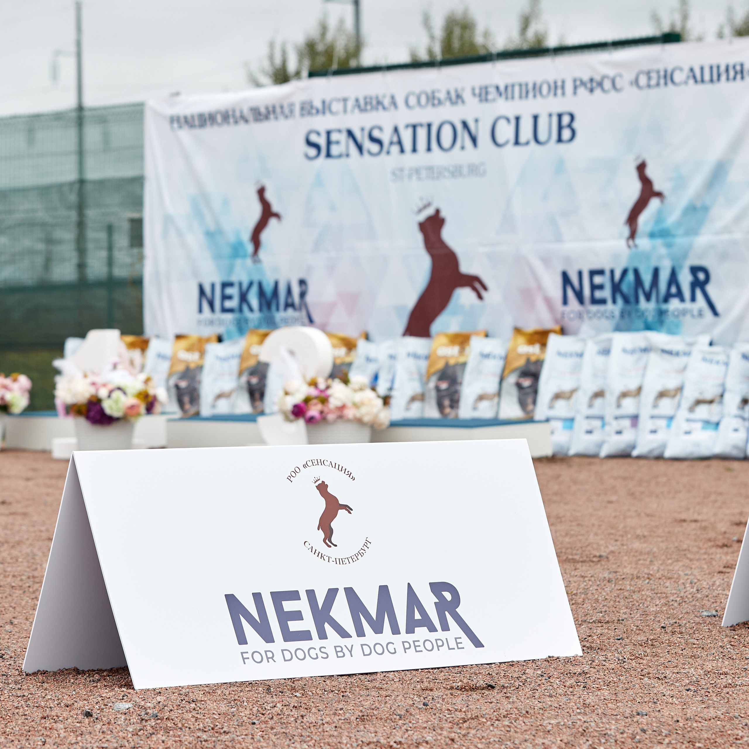 18.09.22 ВЫСТАВКА СОБАК ВСЕХ ПОРОД (CAC, ЧФ) «СЕНСАЦИЯ-2022». Кинологический клуб РКФ РФСС СЕНСАЦИЯ