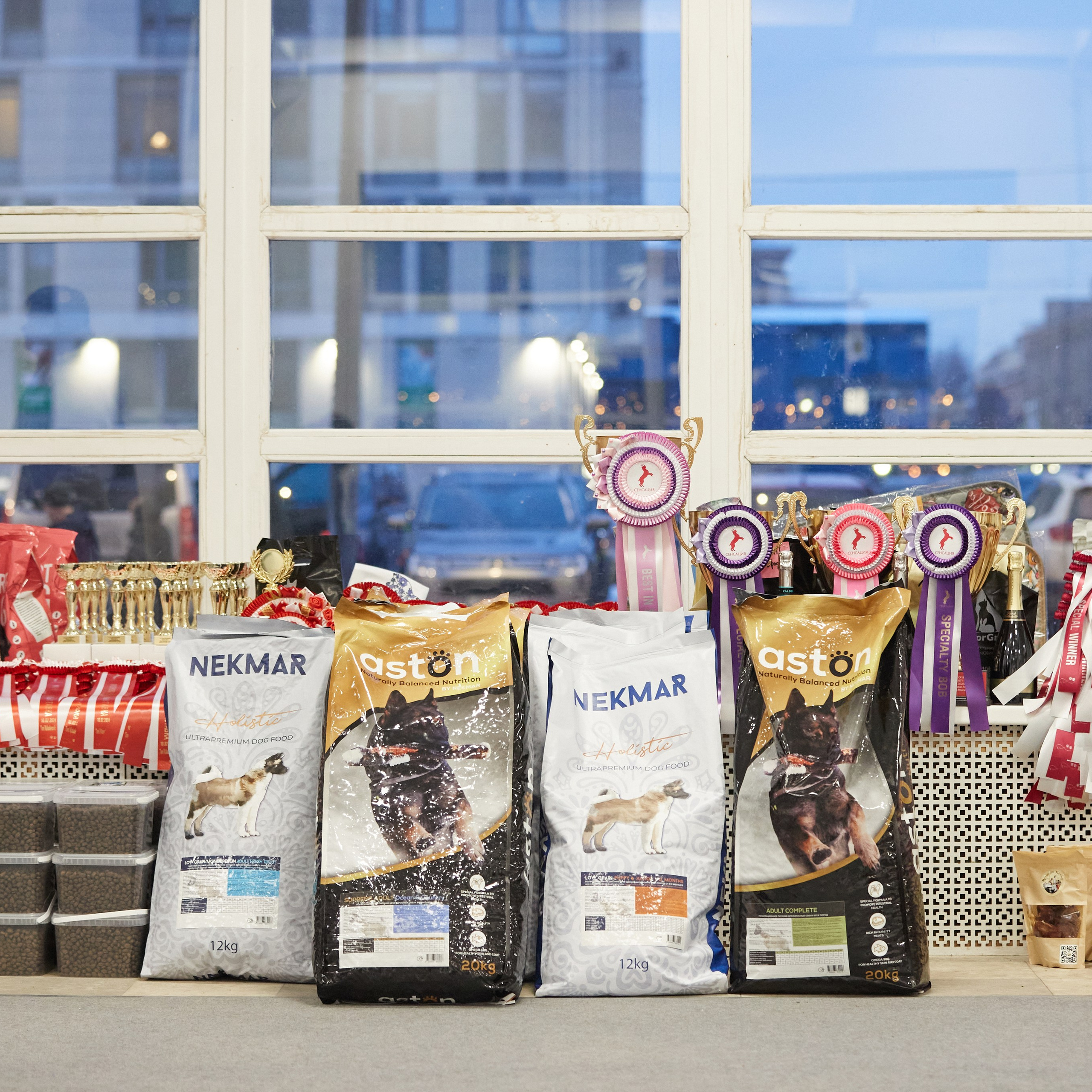 10-11.02.2024 ВЫСТАВКА СОБАК ВСЕХ ПОРОД (САС, ЧФ). Кинологический клуб РКФ РФСС СЕНСАЦИЯ