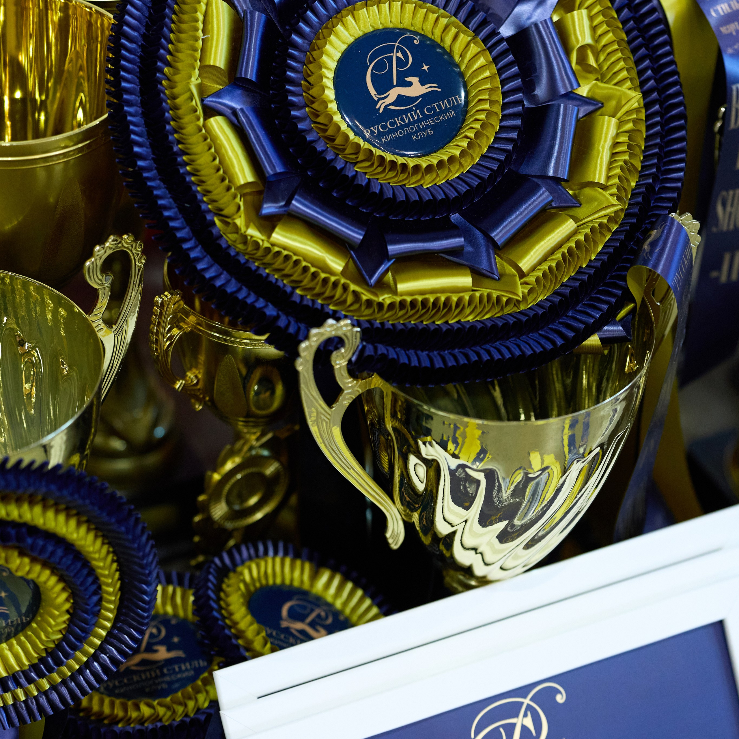 21.03.2026 СПб РОО РУССКИЙ СТИЛЬ. ВЫСТАВКА СОБАК ВСЕХ ПОРОД (САС, ЧФ). Кинологический клуб РКФ РФСС СЕНСАЦИЯ