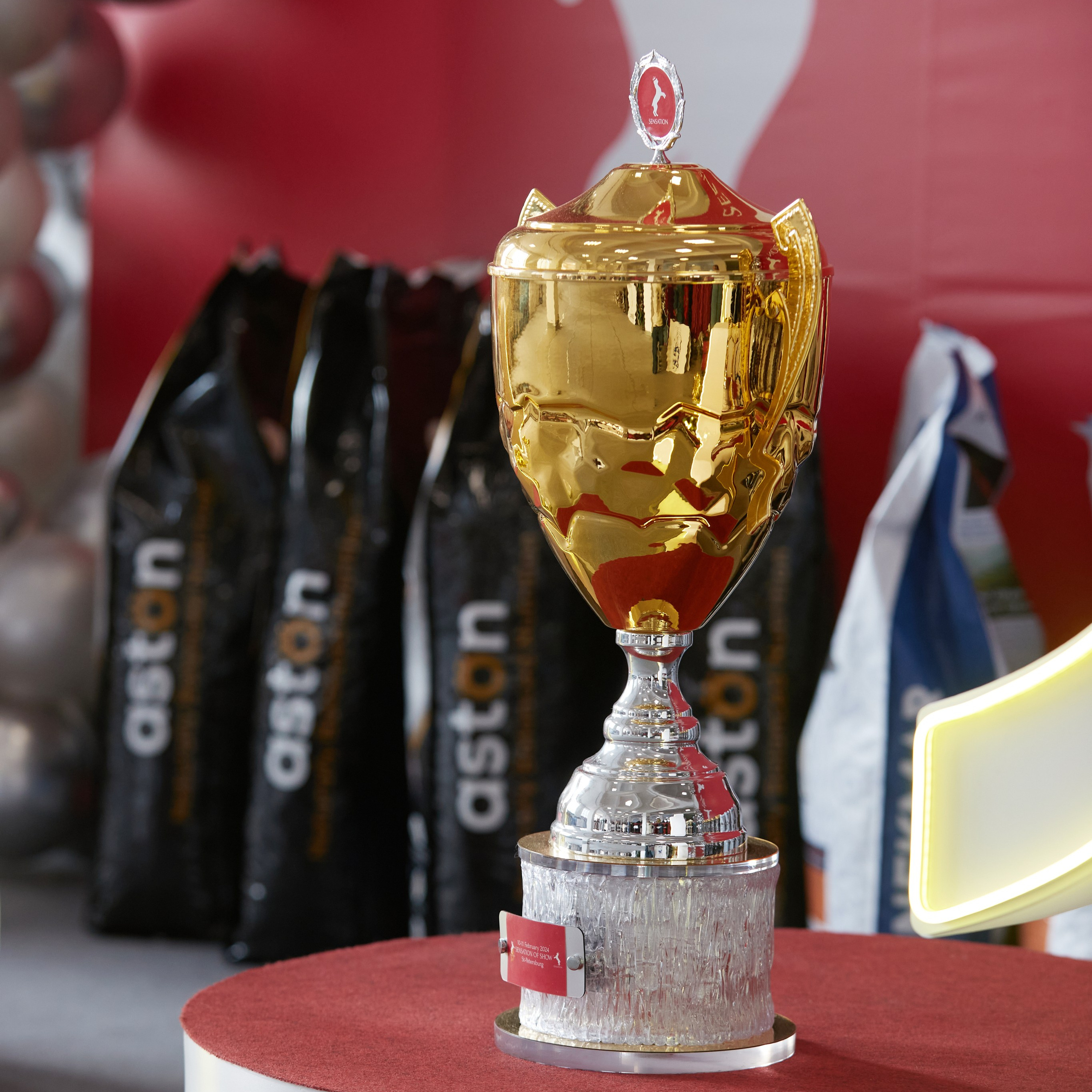 10-11.02.2024 ВЫСТАВКА СОБАК ВСЕХ ПОРОД (САС, ЧФ). Кинологический клуб РКФ РФСС СЕНСАЦИЯ