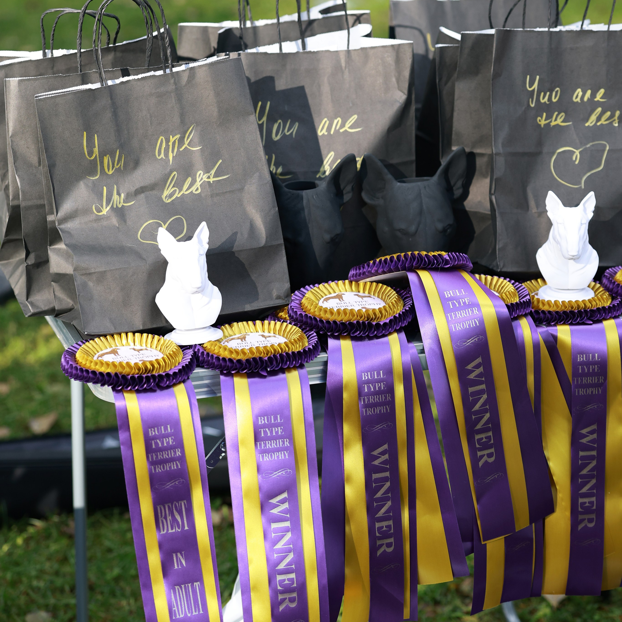 27-28.09.2025 ВЫСТАВКИ СОБАК ВСЕХ ПОРОД (САС, ЧРКФ, ЧФ). Кинологический клуб РКФ РФСС СЕНСАЦИЯ