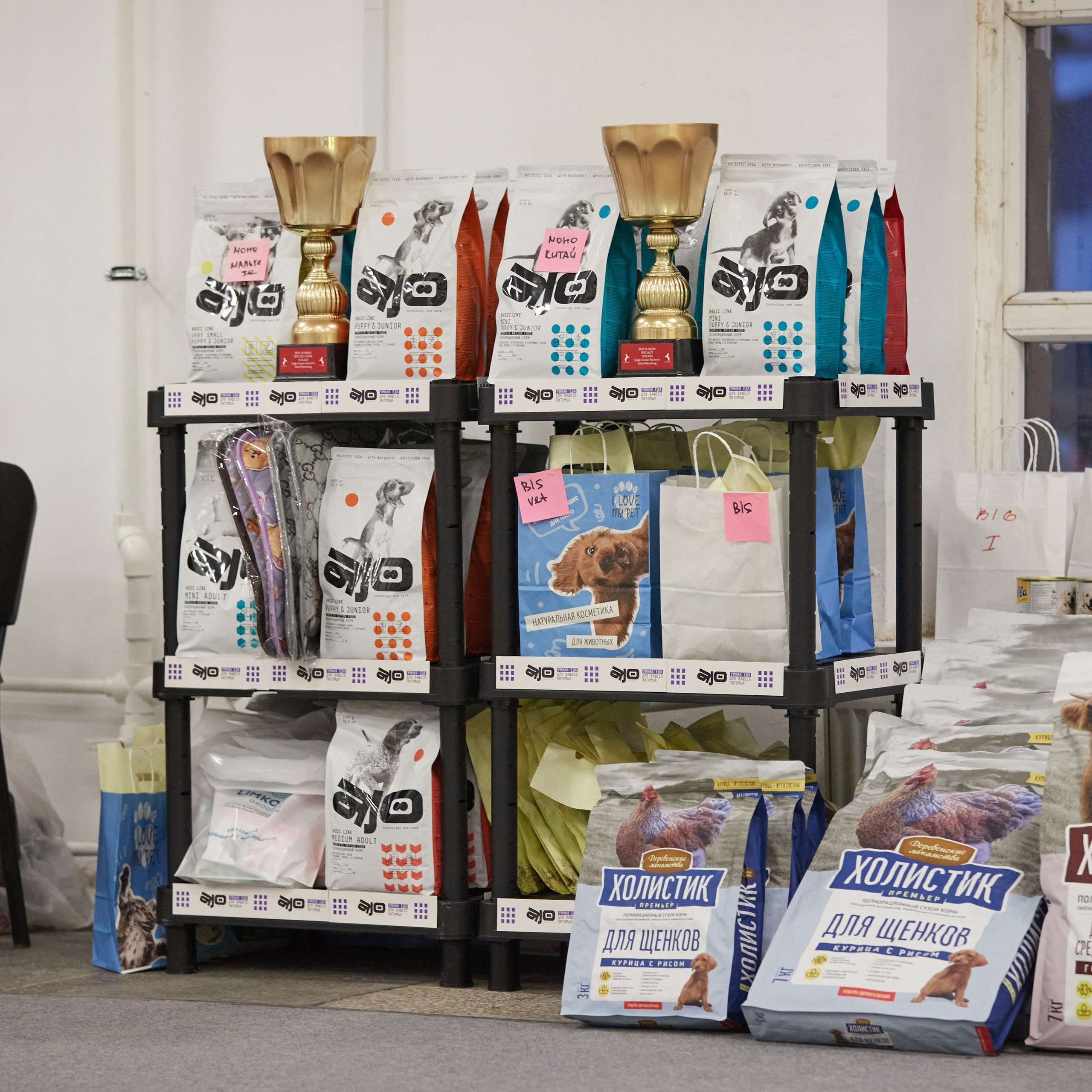 10-11.02.2024 ВЫСТАВКА СОБАК ВСЕХ ПОРОД (САС, ЧФ). Кинологический клуб РКФ РФСС СЕНСАЦИЯ