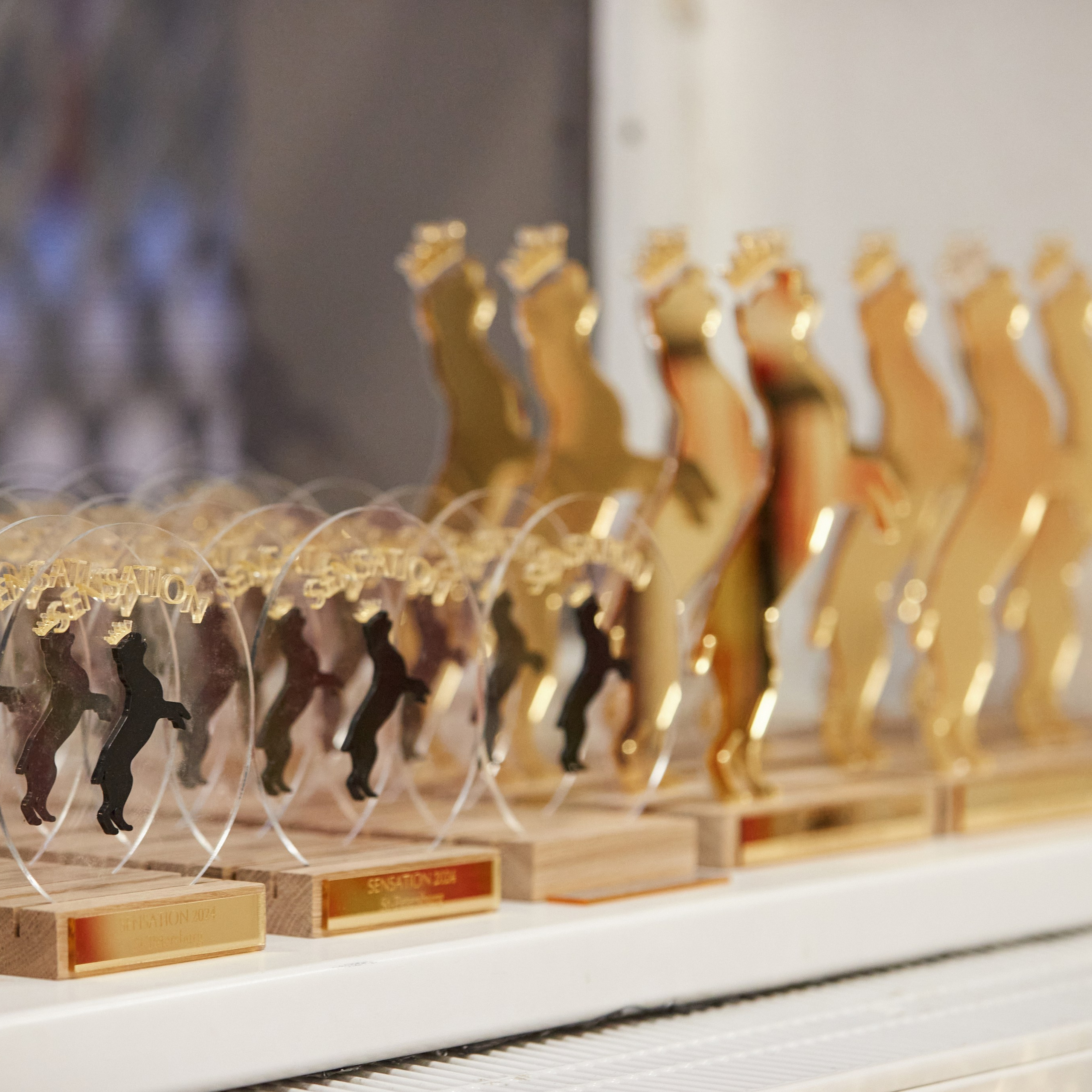 10-11.02.2024 ВЫСТАВКА СОБАК ВСЕХ ПОРОД (САС, ЧФ). Кинологический клуб РКФ РФСС СЕНСАЦИЯ