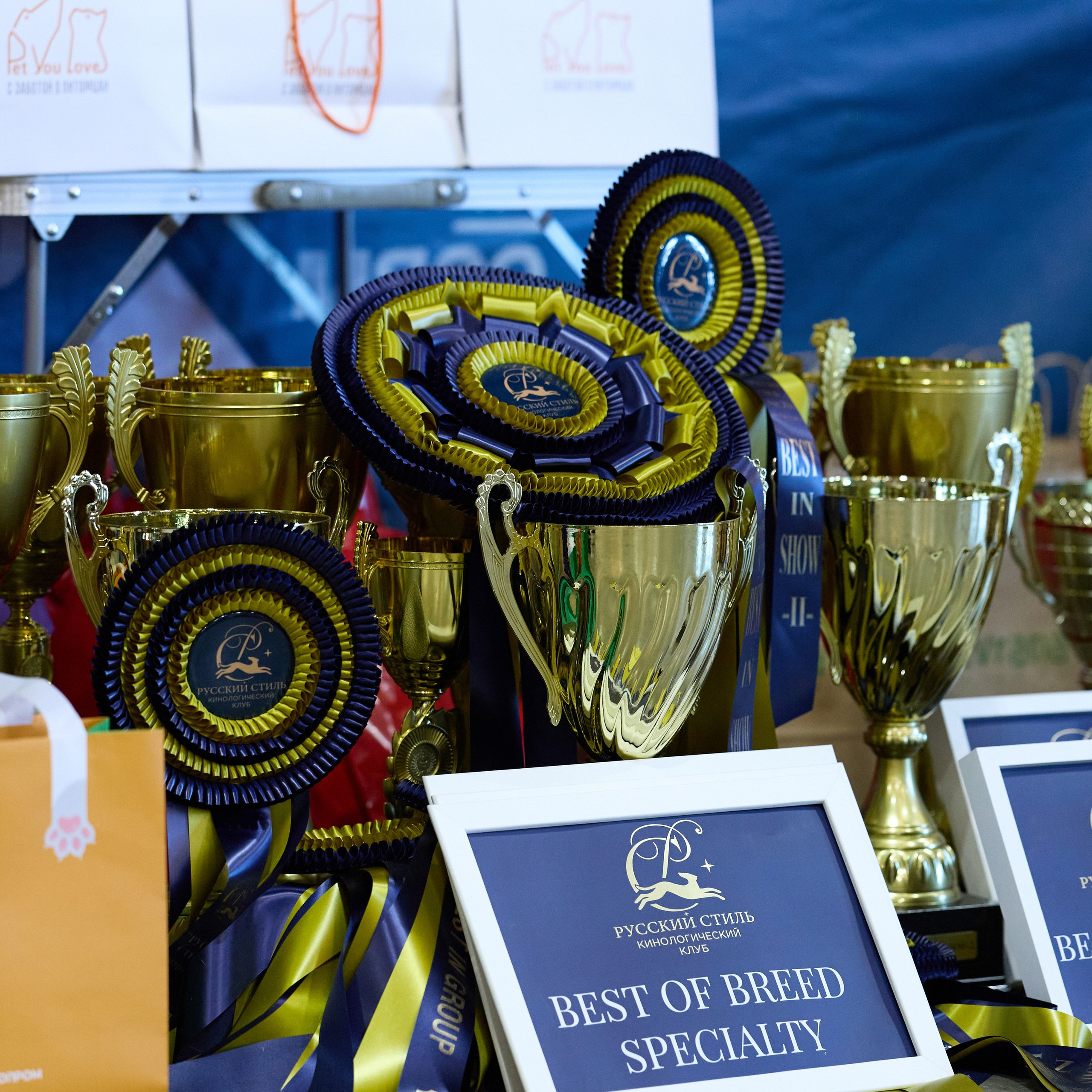 21.03.2026 СПб РОО РУССКИЙ СТИЛЬ. ВЫСТАВКА СОБАК ВСЕХ ПОРОД (САС, ЧФ). Кинологический клуб РКФ РФСС СЕНСАЦИЯ