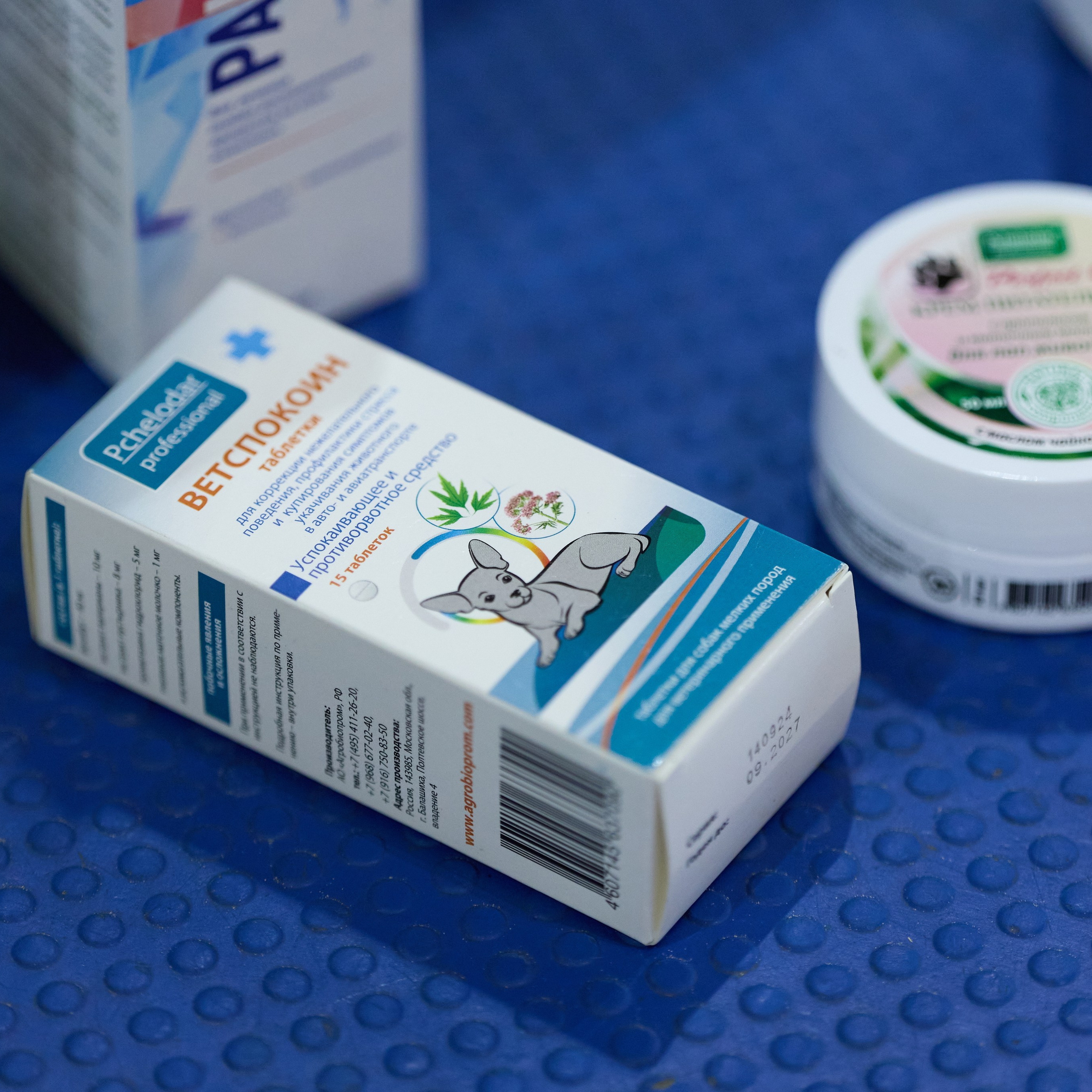 21.03.2026 СПб РОО РУССКИЙ СТИЛЬ. ВЫСТАВКА СОБАК ВСЕХ ПОРОД (САС, ЧФ). Кинологический клуб РКФ РФСС СЕНСАЦИЯ