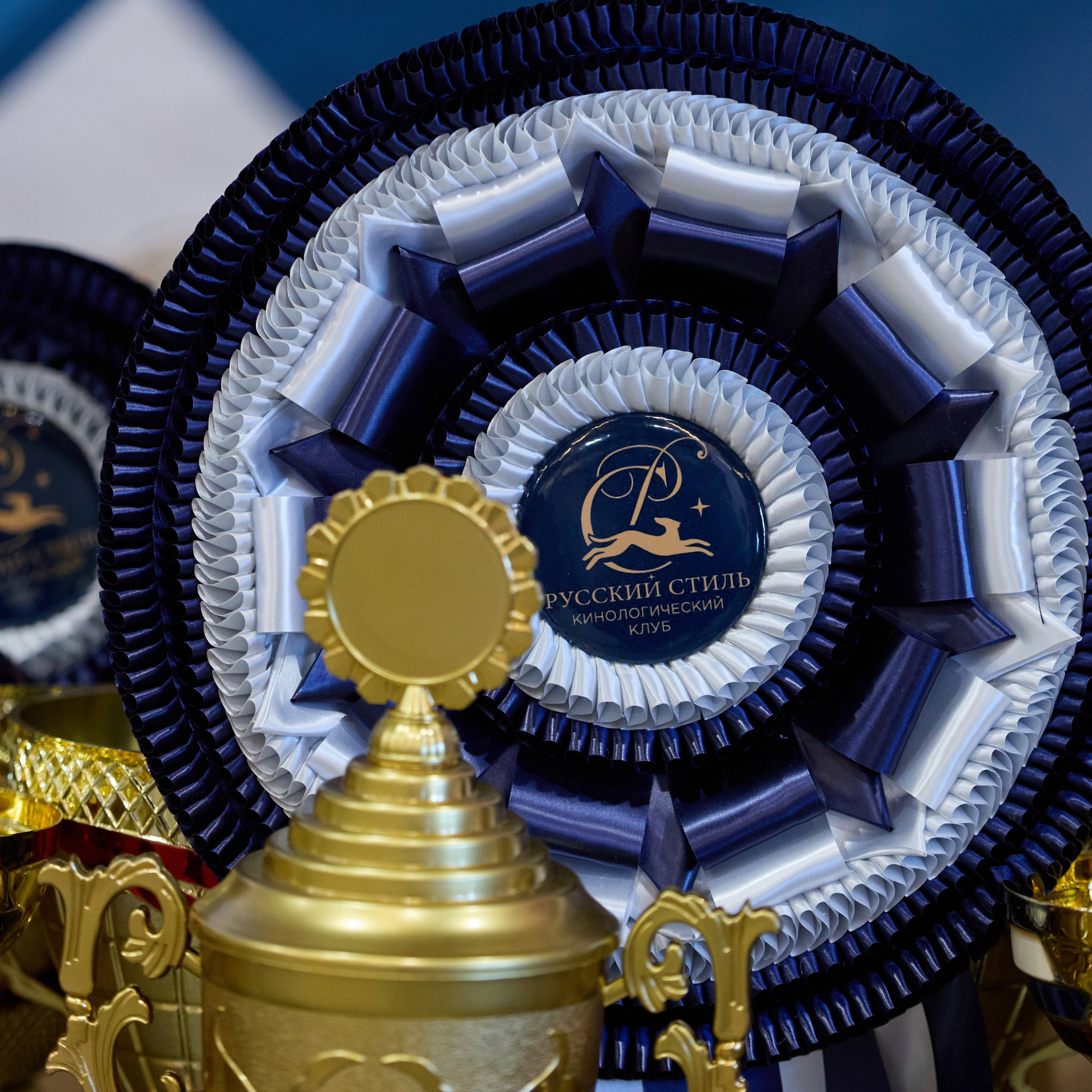 21.03.2026 СПб РОО РУССКИЙ СТИЛЬ. ВЫСТАВКА СОБАК ВСЕХ ПОРОД (САС, ЧФ). Кинологический клуб РКФ РФСС СЕНСАЦИЯ