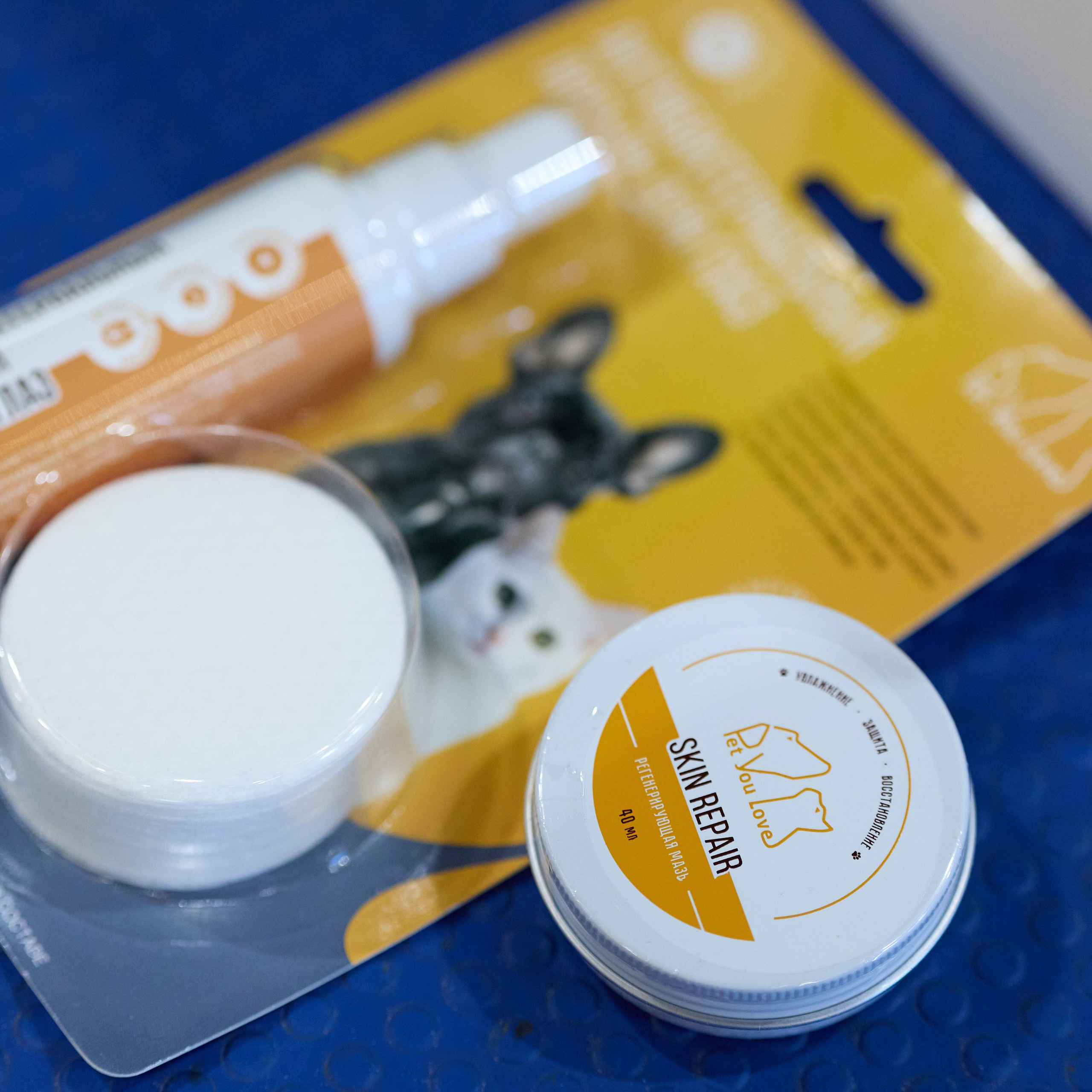 21.03.2026 СПб РОО РУССКИЙ СТИЛЬ. ВЫСТАВКА СОБАК ВСЕХ ПОРОД (САС, ЧФ). Кинологический клуб РКФ РФСС СЕНСАЦИЯ