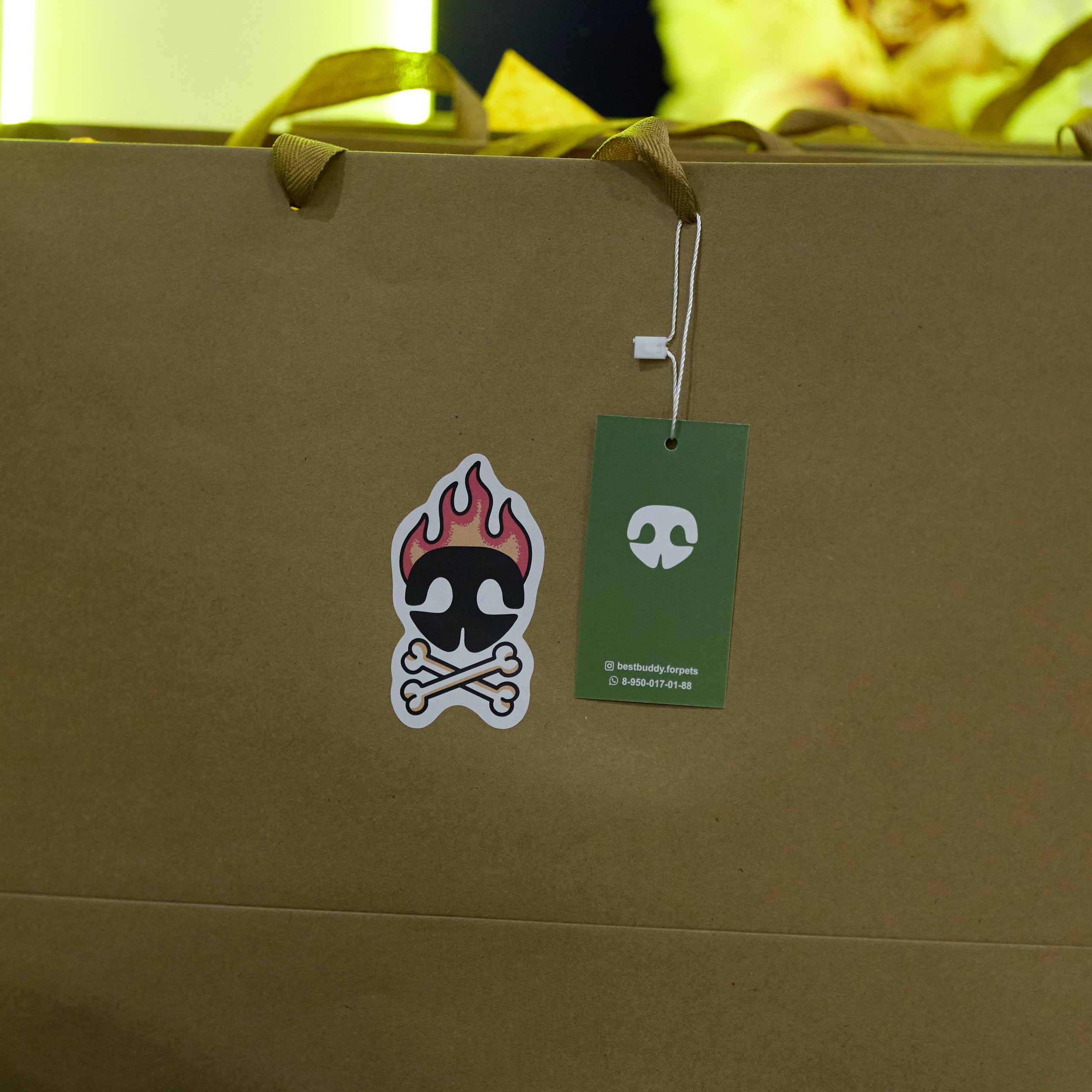 21.03.2026 СПб РОО РУССКИЙ СТИЛЬ. ВЫСТАВКА СОБАК ВСЕХ ПОРОД (САС, ЧФ). Кинологический клуб РКФ РФСС СЕНСАЦИЯ