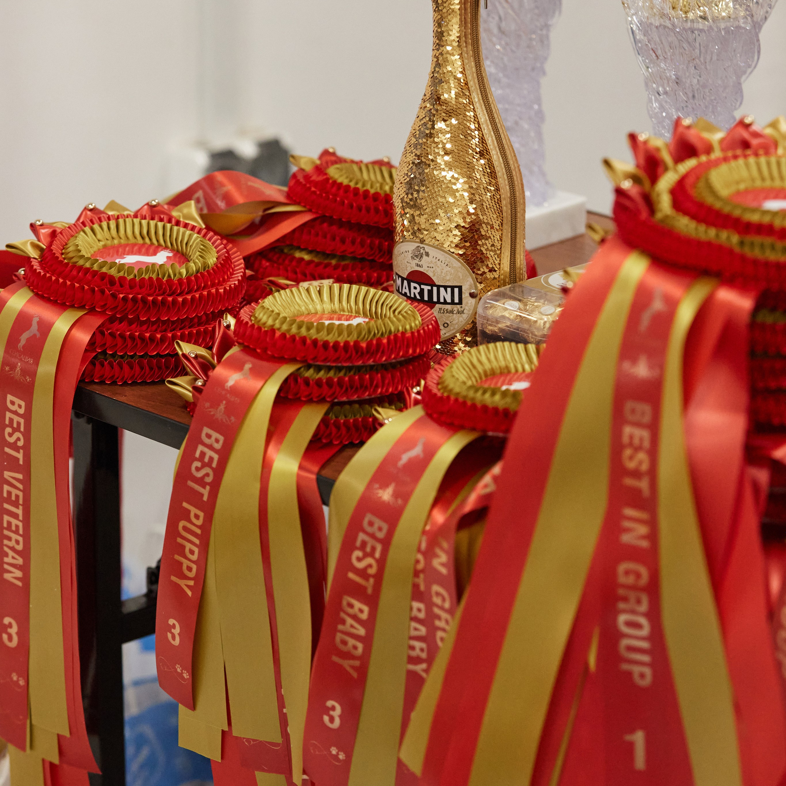 10-11.02.2024 ВЫСТАВКА СОБАК ВСЕХ ПОРОД (САС, ЧФ). Кинологический клуб РКФ РФСС СЕНСАЦИЯ