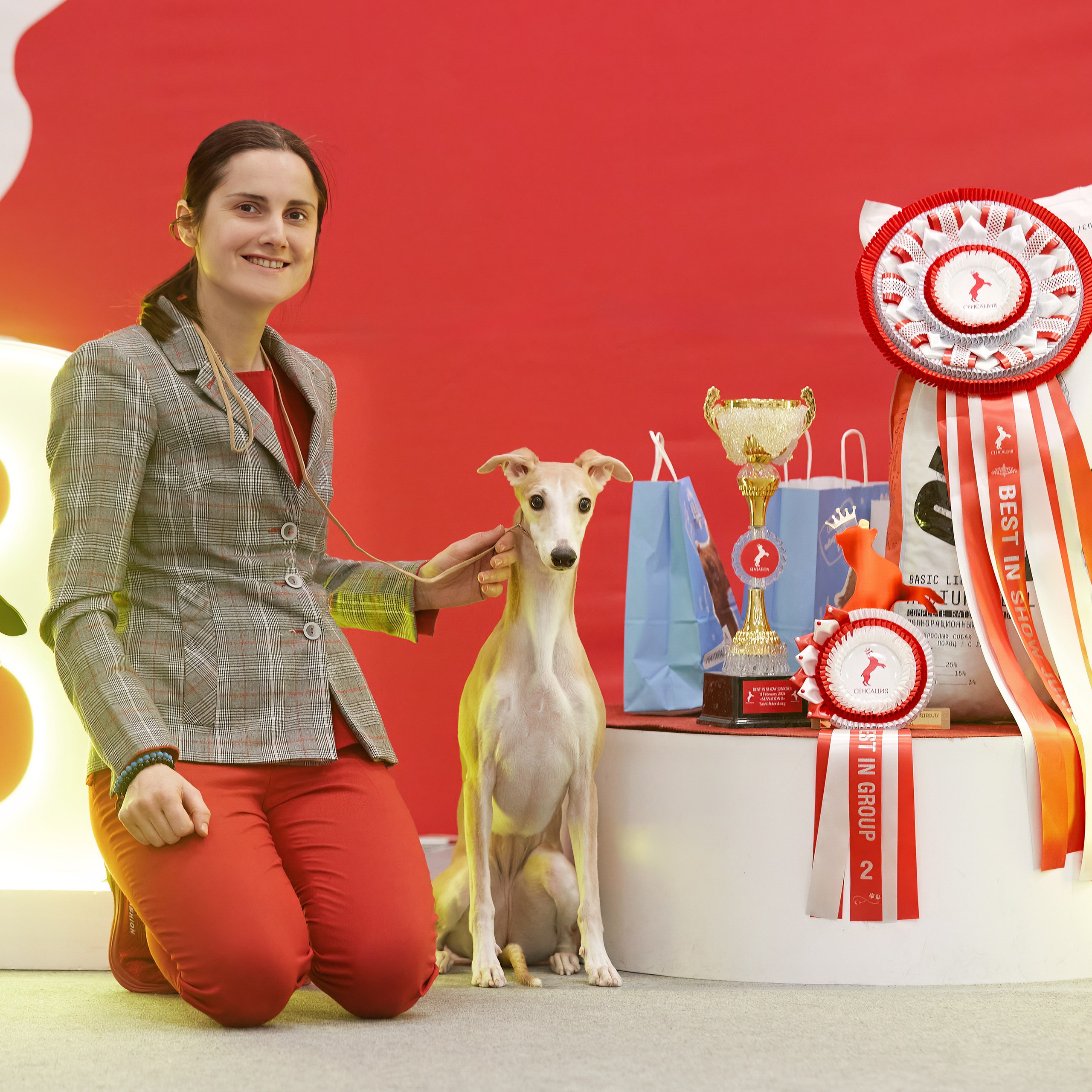 10-11.02.2024 ВЫСТАВКА СОБАК ВСЕХ ПОРОД (САС, ЧФ). Кинологический клуб РКФ РФСС СЕНСАЦИЯ