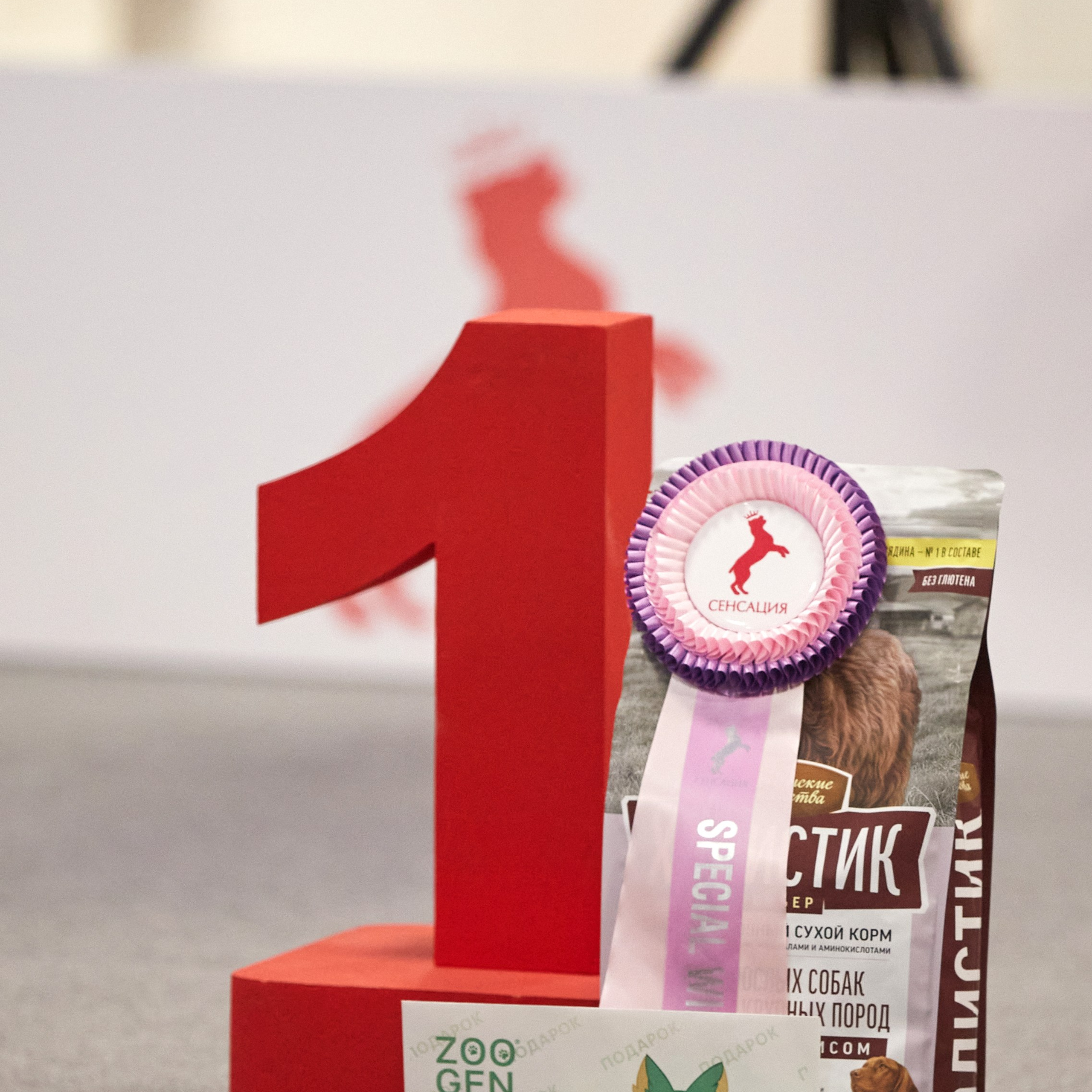 10-11.02.2024 ВЫСТАВКА СОБАК ВСЕХ ПОРОД (САС, ЧФ). Кинологический клуб РКФ РФСС СЕНСАЦИЯ