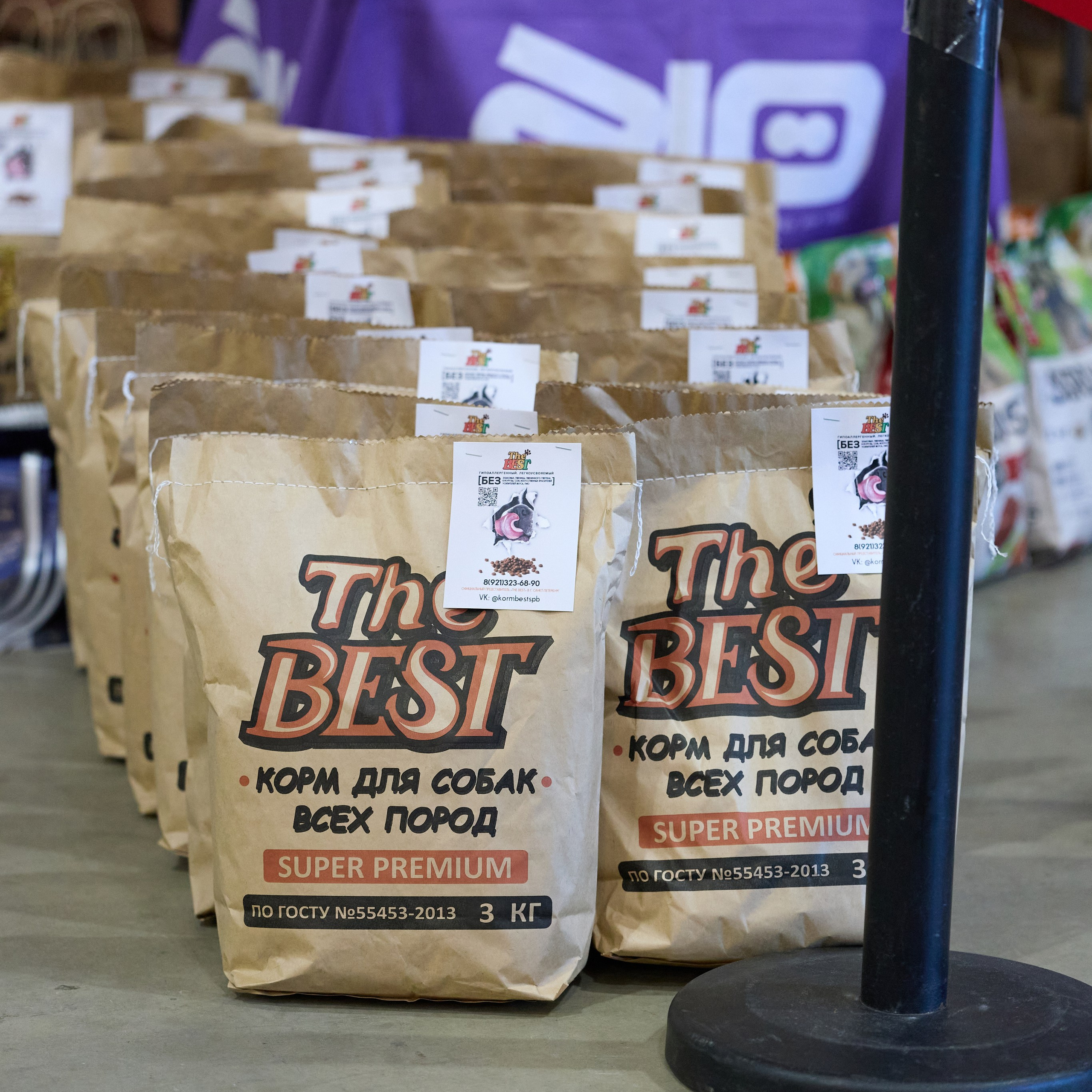 21.03.2026 СПб РОО РУССКИЙ СТИЛЬ. ВЫСТАВКА СОБАК ВСЕХ ПОРОД (САС, ЧФ). Кинологический клуб РКФ РФСС СЕНСАЦИЯ