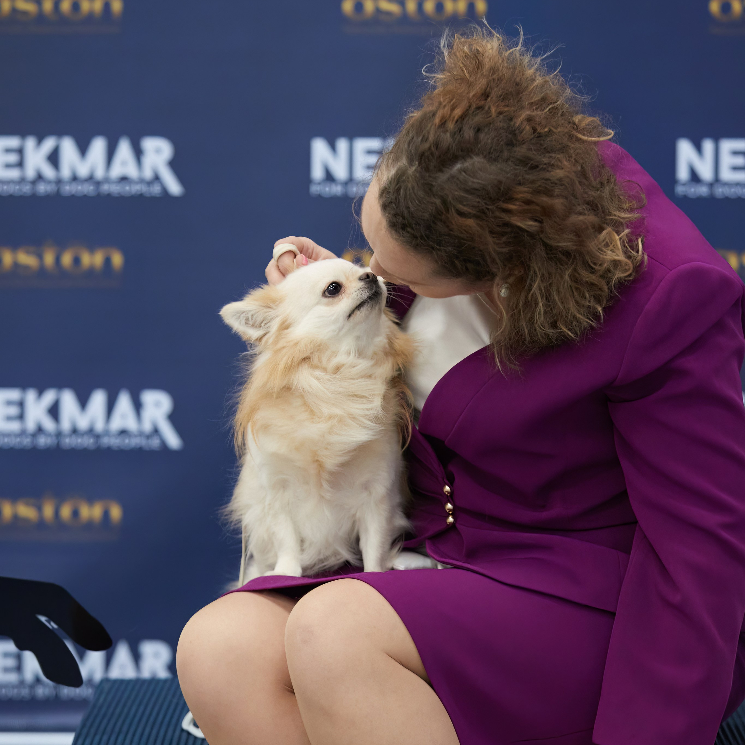 10-11.02.2024 ВЫСТАВКА СОБАК ВСЕХ ПОРОД (САС, ЧФ). Кинологический клуб РКФ РФСС СЕНСАЦИЯ