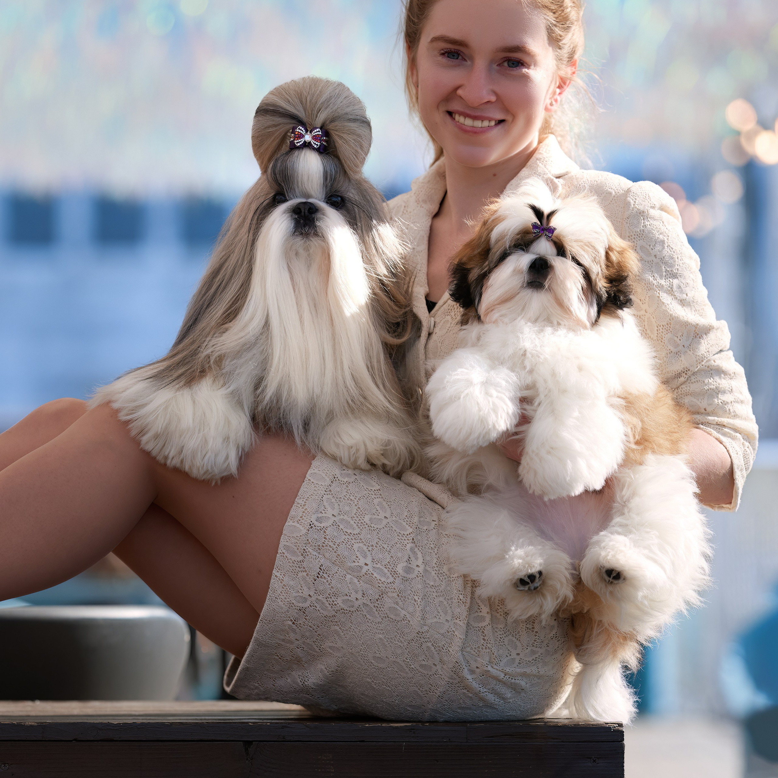 21.03.2026 СПб РОО РУССКИЙ СТИЛЬ. ВЫСТАВКА СОБАК ВСЕХ ПОРОД (САС, ЧФ). Кинологический клуб РКФ РФСС СЕНСАЦИЯ