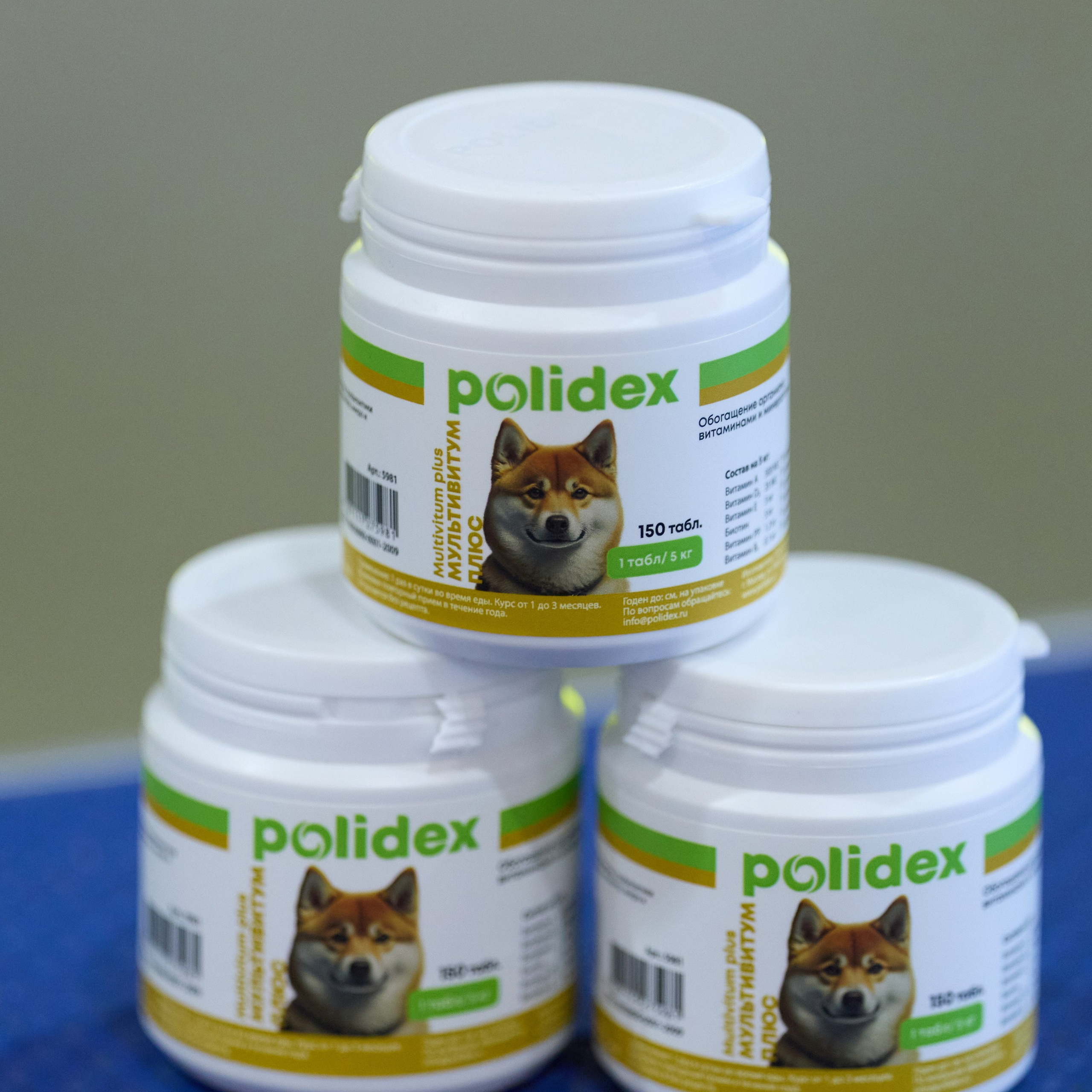 21.03.2026 СПб РОО РУССКИЙ СТИЛЬ. ВЫСТАВКА СОБАК ВСЕХ ПОРОД (САС, ЧФ). Кинологический клуб РКФ РФСС СЕНСАЦИЯ