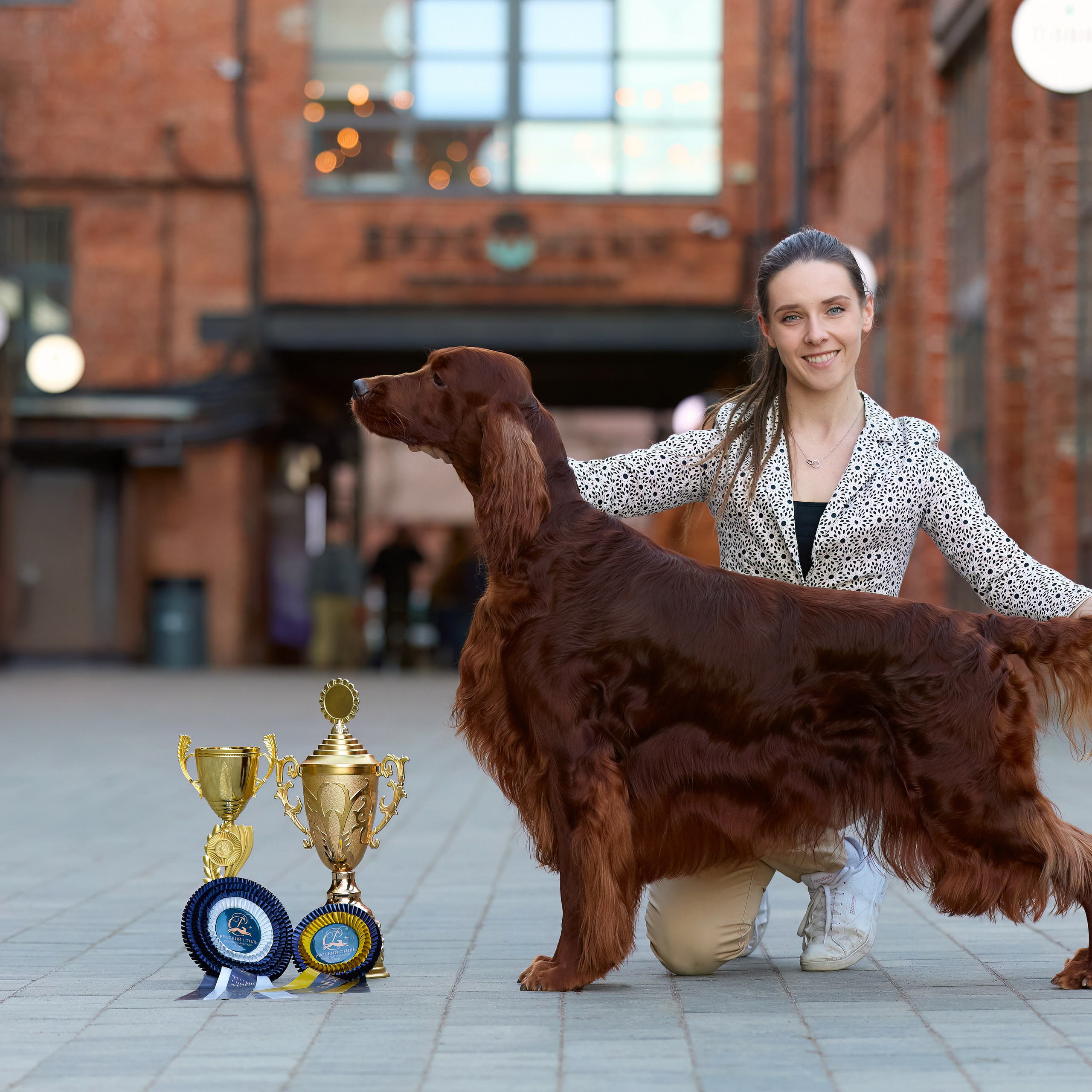 21.03.2026 СПб РОО РУССКИЙ СТИЛЬ. ВЫСТАВКА СОБАК ВСЕХ ПОРОД (САС, ЧФ). Кинологический клуб РКФ РФСС СЕНСАЦИЯ