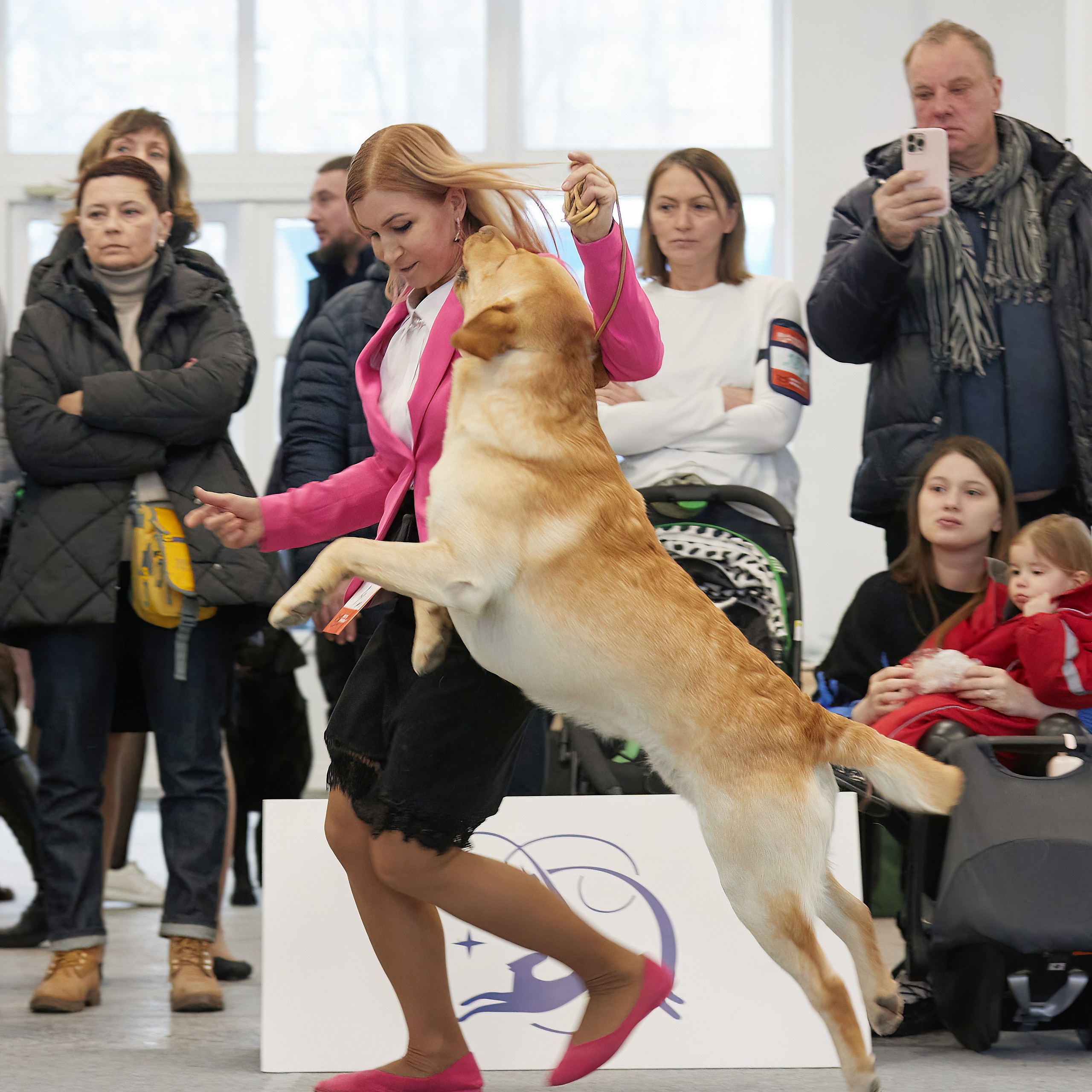 10-11.02.2024 ВЫСТАВКА СОБАК ВСЕХ ПОРОД (САС, ЧФ). Кинологический клуб РКФ РФСС СЕНСАЦИЯ