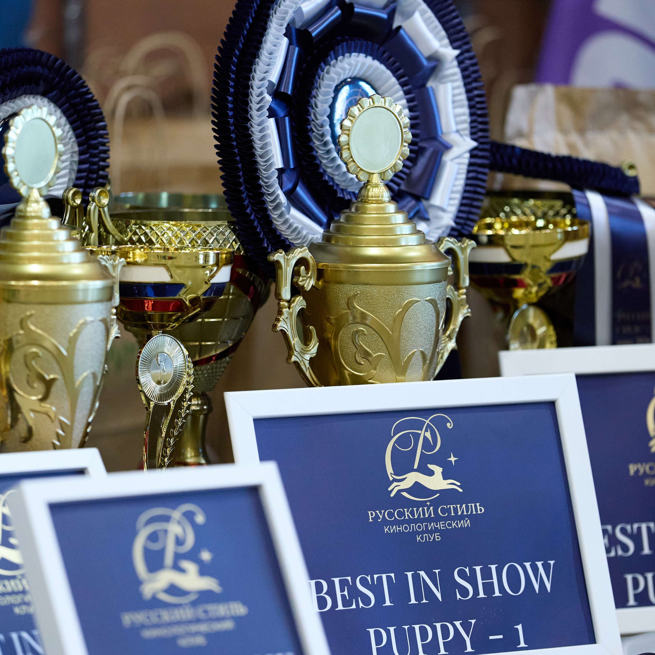 21.03.2026 СПб РОО РУССКИЙ СТИЛЬ. ВЫСТАВКА СОБАК ВСЕХ ПОРОД (САС, ЧФ). Кинологический клуб РКФ РФСС СЕНСАЦИЯ