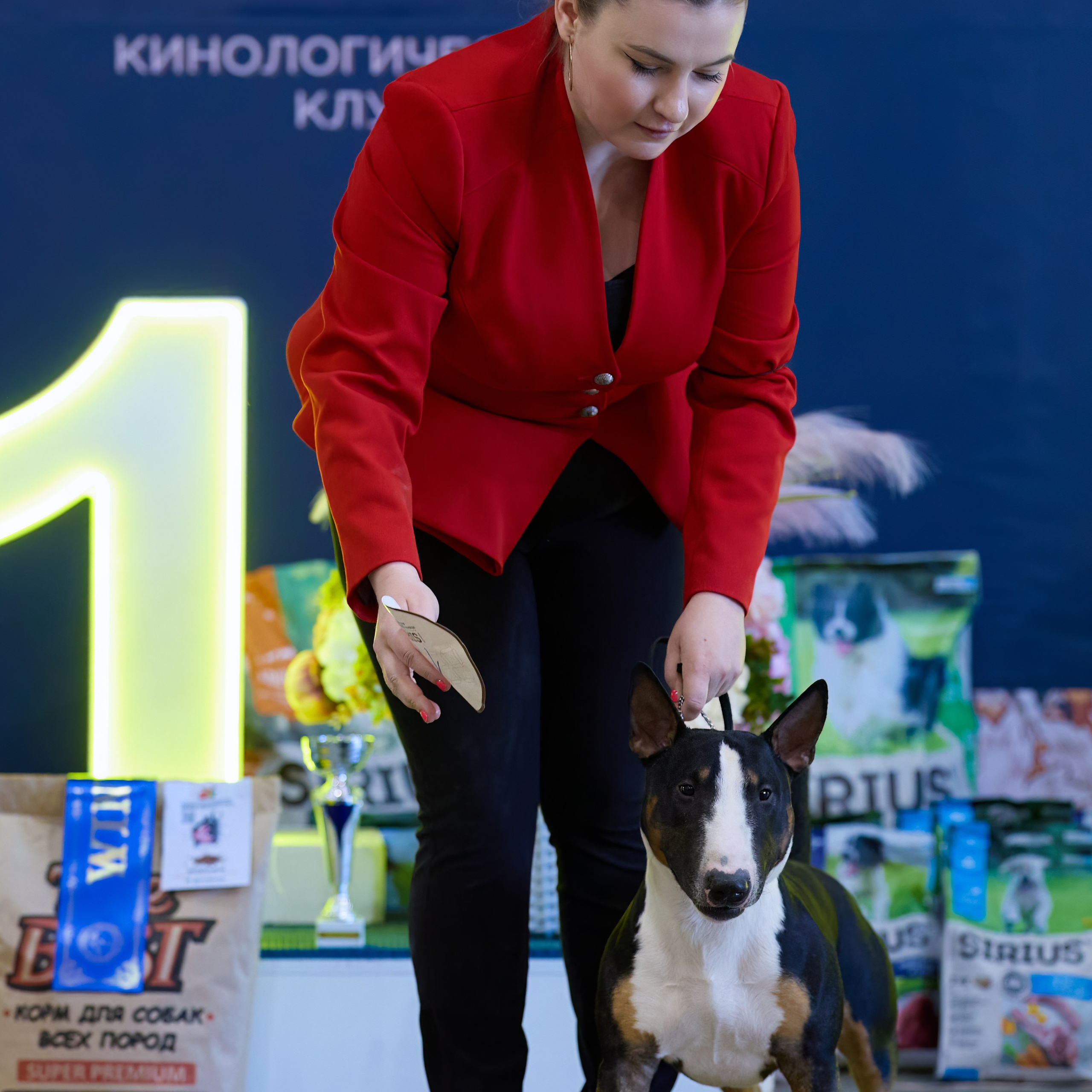 21.03.2026 СПб РОО РУССКИЙ СТИЛЬ. ВЫСТАВКА СОБАК ВСЕХ ПОРОД (САС, ЧФ). Кинологический клуб РКФ РФСС СЕНСАЦИЯ