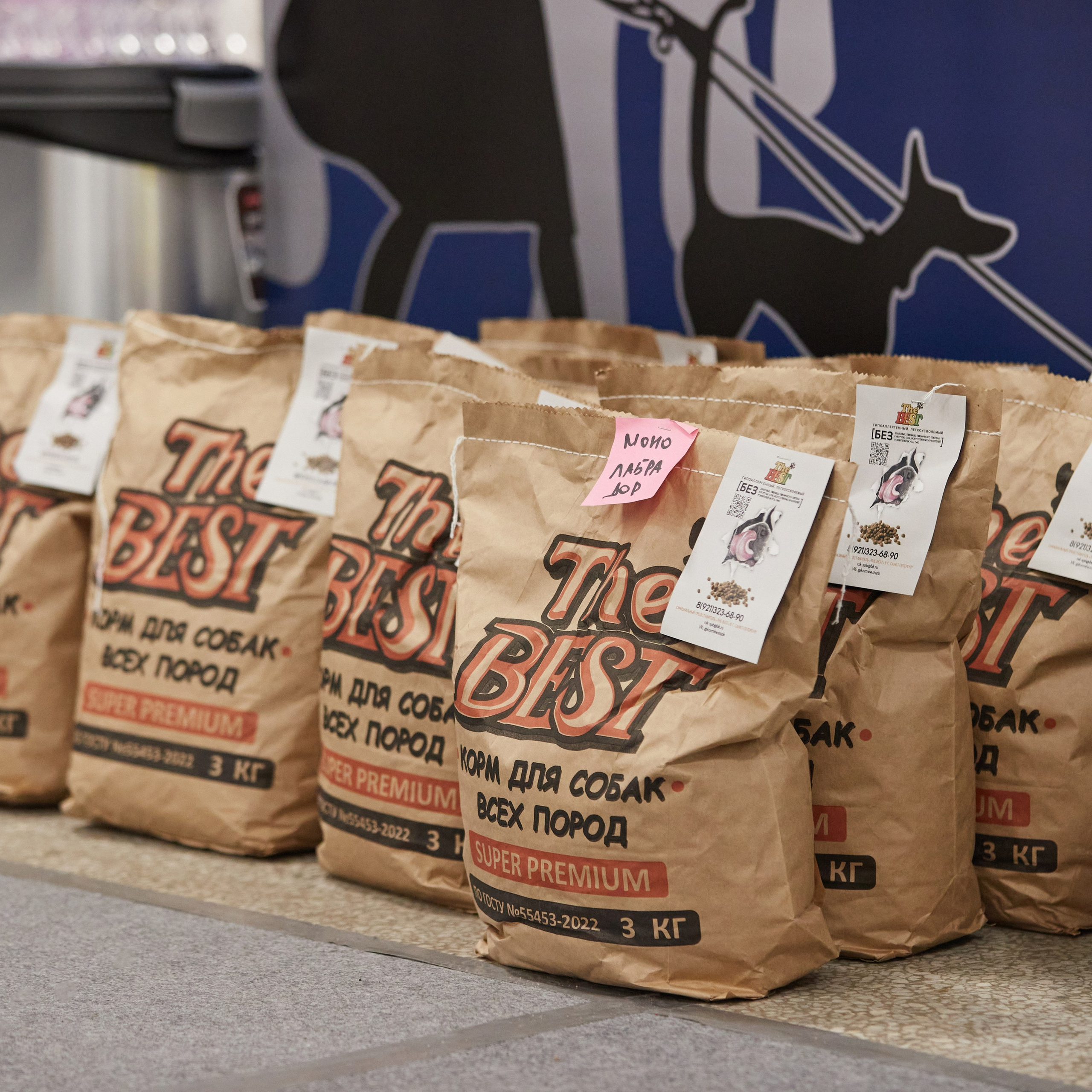 10-11.02.2024 ВЫСТАВКА СОБАК ВСЕХ ПОРОД (САС, ЧФ). Кинологический клуб РКФ РФСС СЕНСАЦИЯ