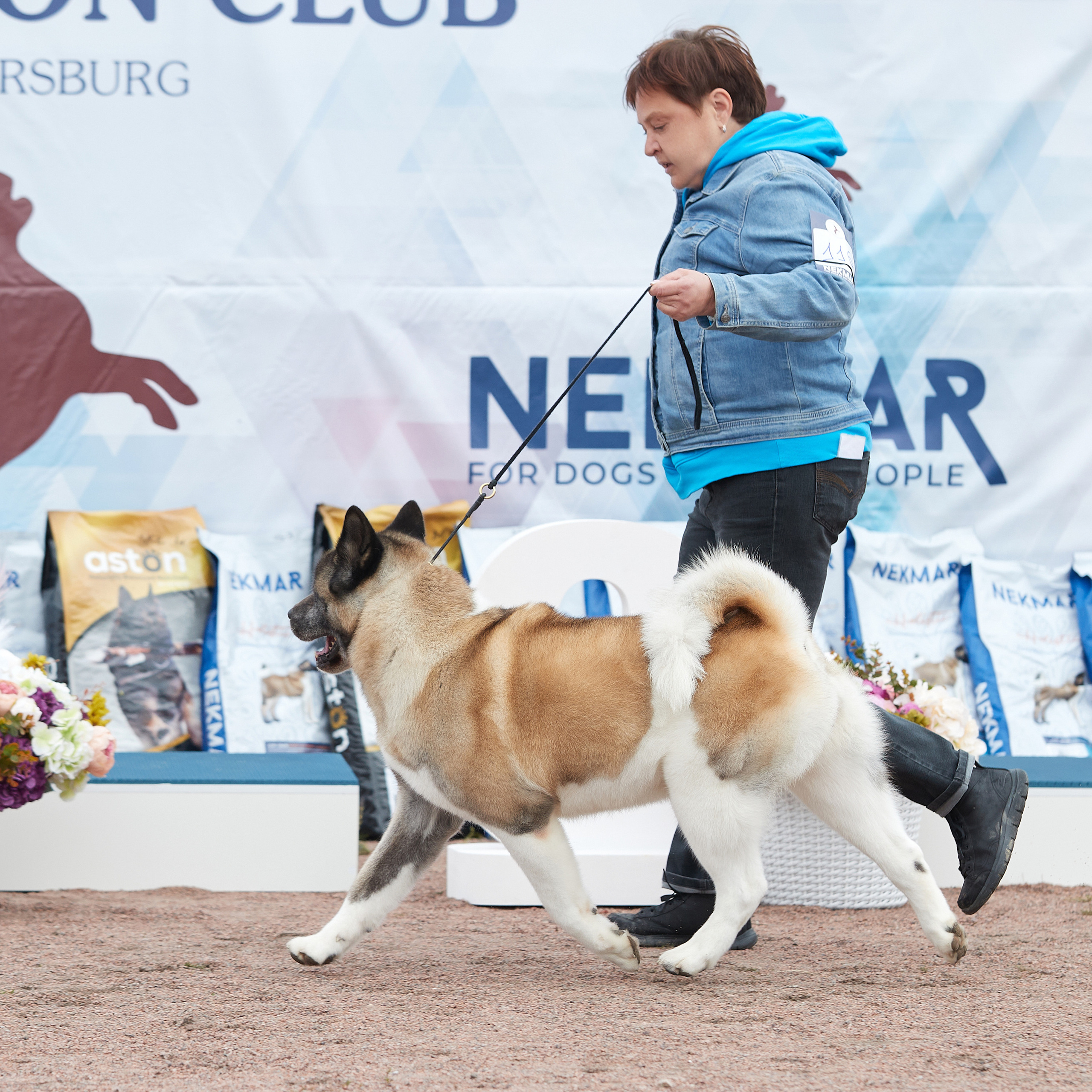 18.09.22 ВЫСТАВКА СОБАК ВСЕХ ПОРОД (CAC, ЧФ) «СЕНСАЦИЯ-2022». Кинологический клуб РКФ РФСС СЕНСАЦИЯ