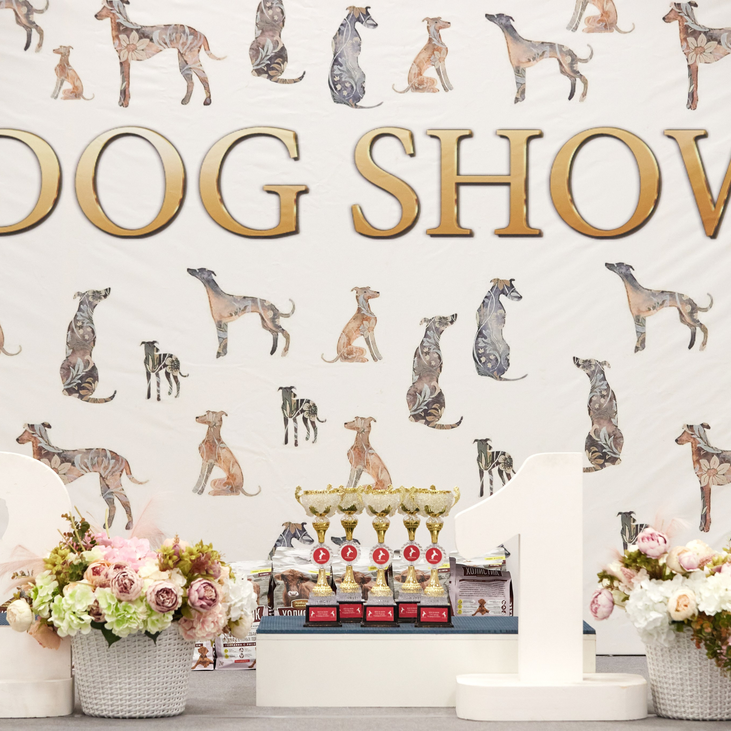 10-11.02.2024 ВЫСТАВКА СОБАК ВСЕХ ПОРОД (САС, ЧФ). Кинологический клуб РКФ РФСС СЕНСАЦИЯ