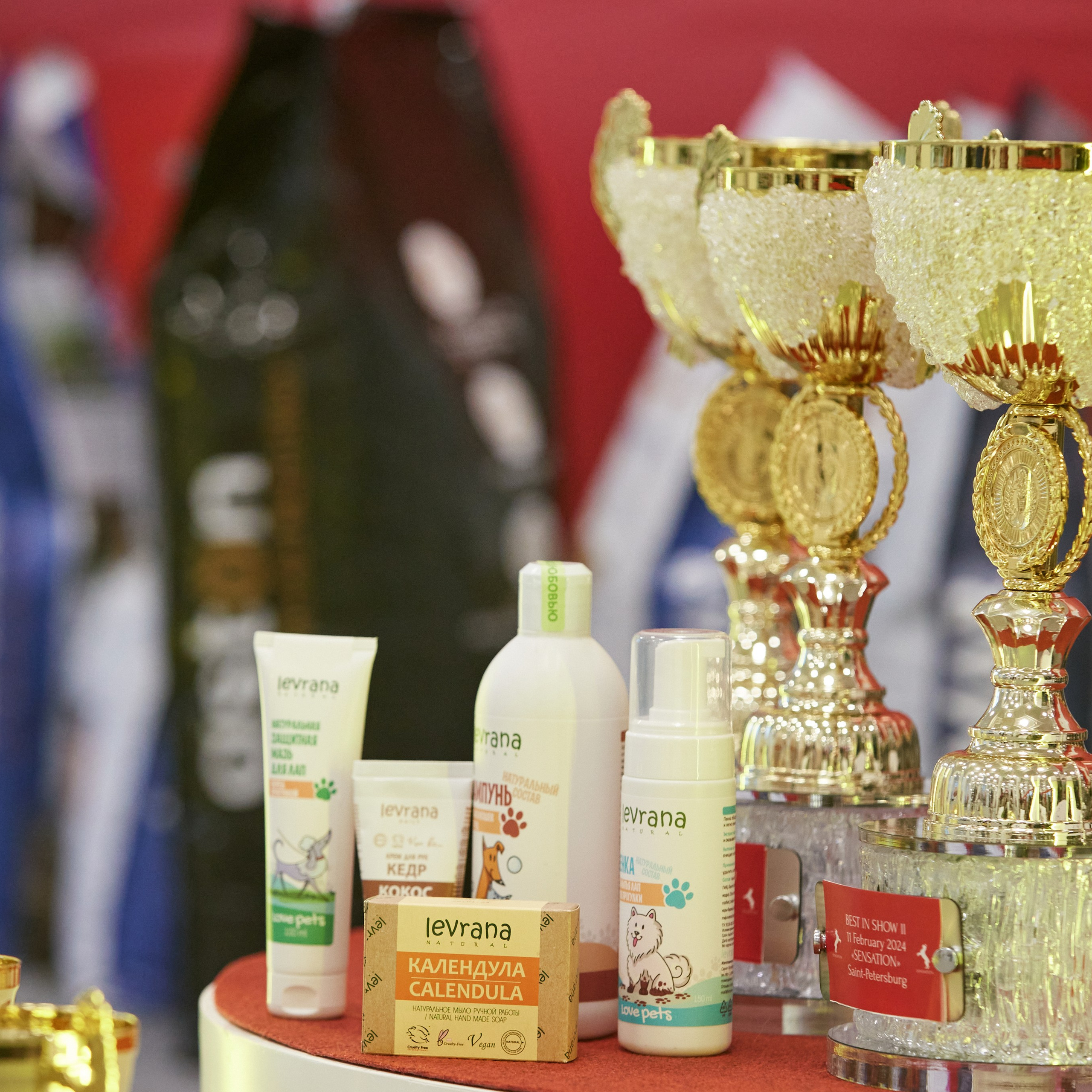 10-11.02.2024 ВЫСТАВКА СОБАК ВСЕХ ПОРОД (САС, ЧФ). Кинологический клуб РКФ РФСС СЕНСАЦИЯ