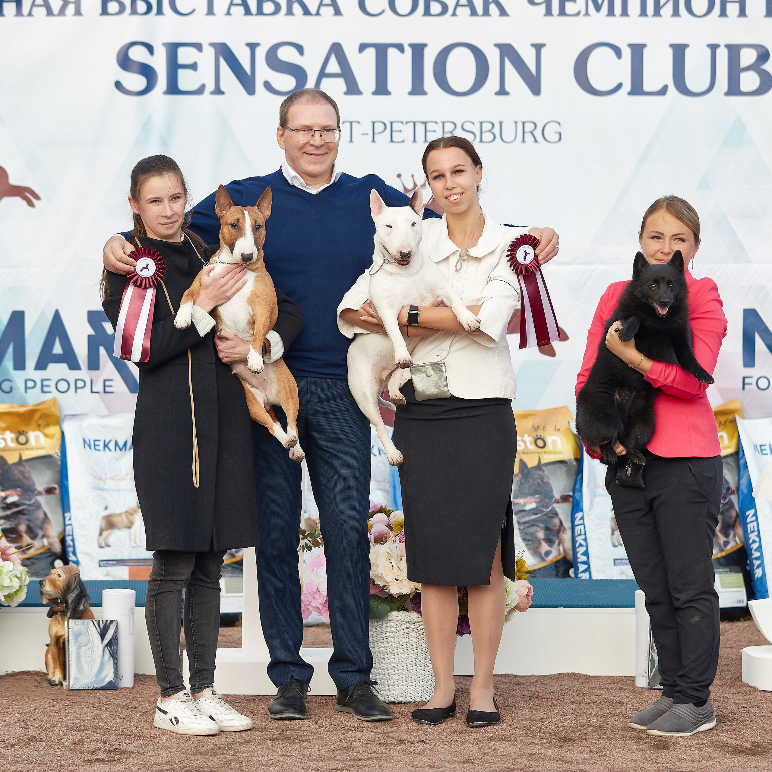 18.09.22 ВЫСТАВКА СОБАК ВСЕХ ПОРОД (CAC, ЧФ) «СЕНСАЦИЯ-2022». Кинологический клуб РКФ РФСС СЕНСАЦИЯ