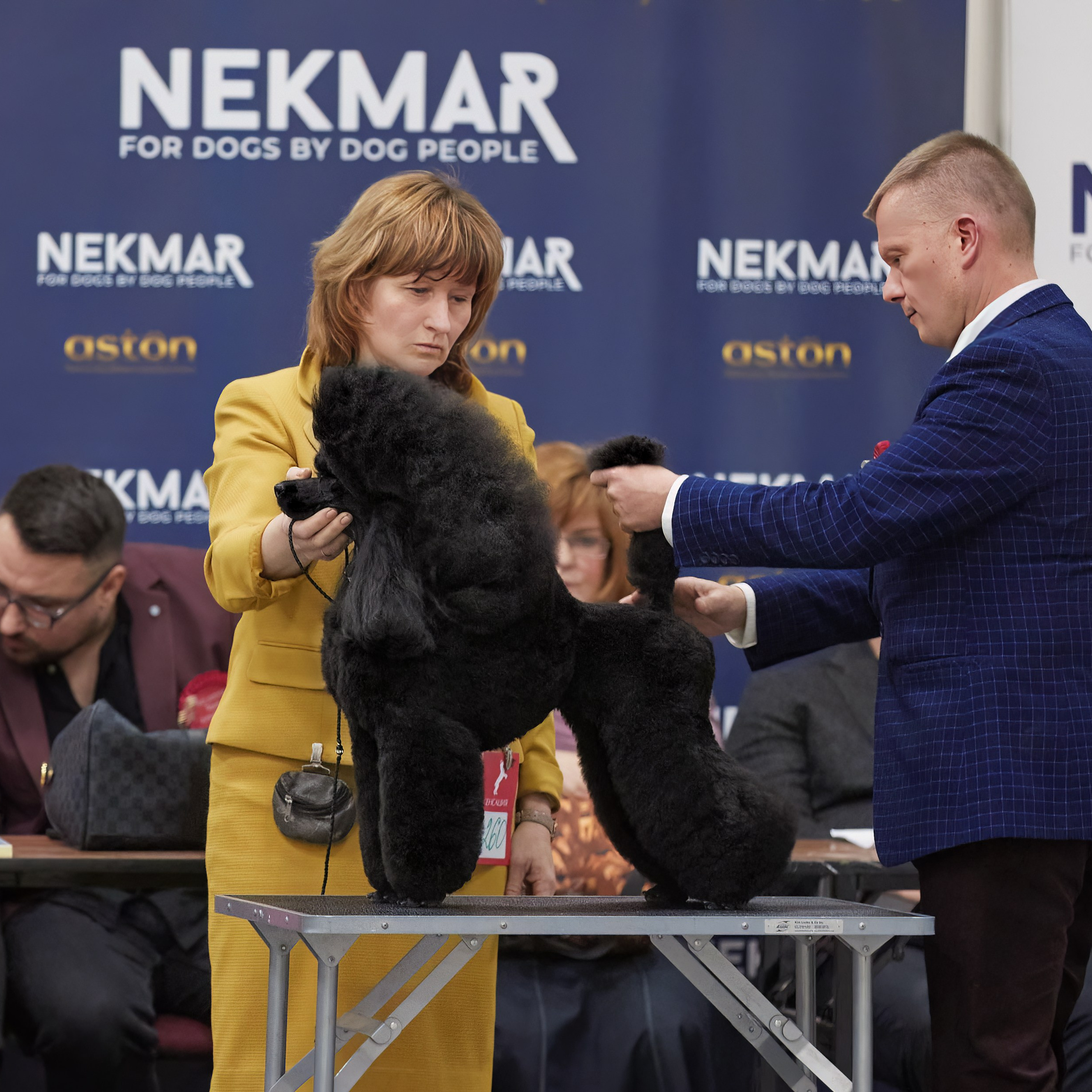 10-11.02.2024 ВЫСТАВКА СОБАК ВСЕХ ПОРОД (САС, ЧФ). Кинологический клуб РКФ РФСС СЕНСАЦИЯ