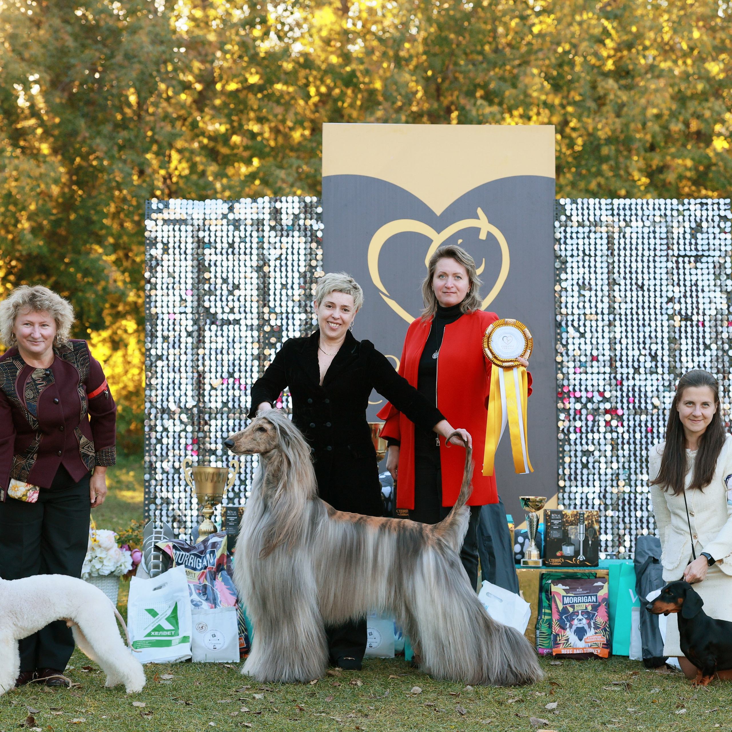 27-28.09.2025 ВЫСТАВКИ СОБАК ВСЕХ ПОРОД (САС, ЧРКФ, ЧФ). Кинологический клуб РКФ РФСС СЕНСАЦИЯ