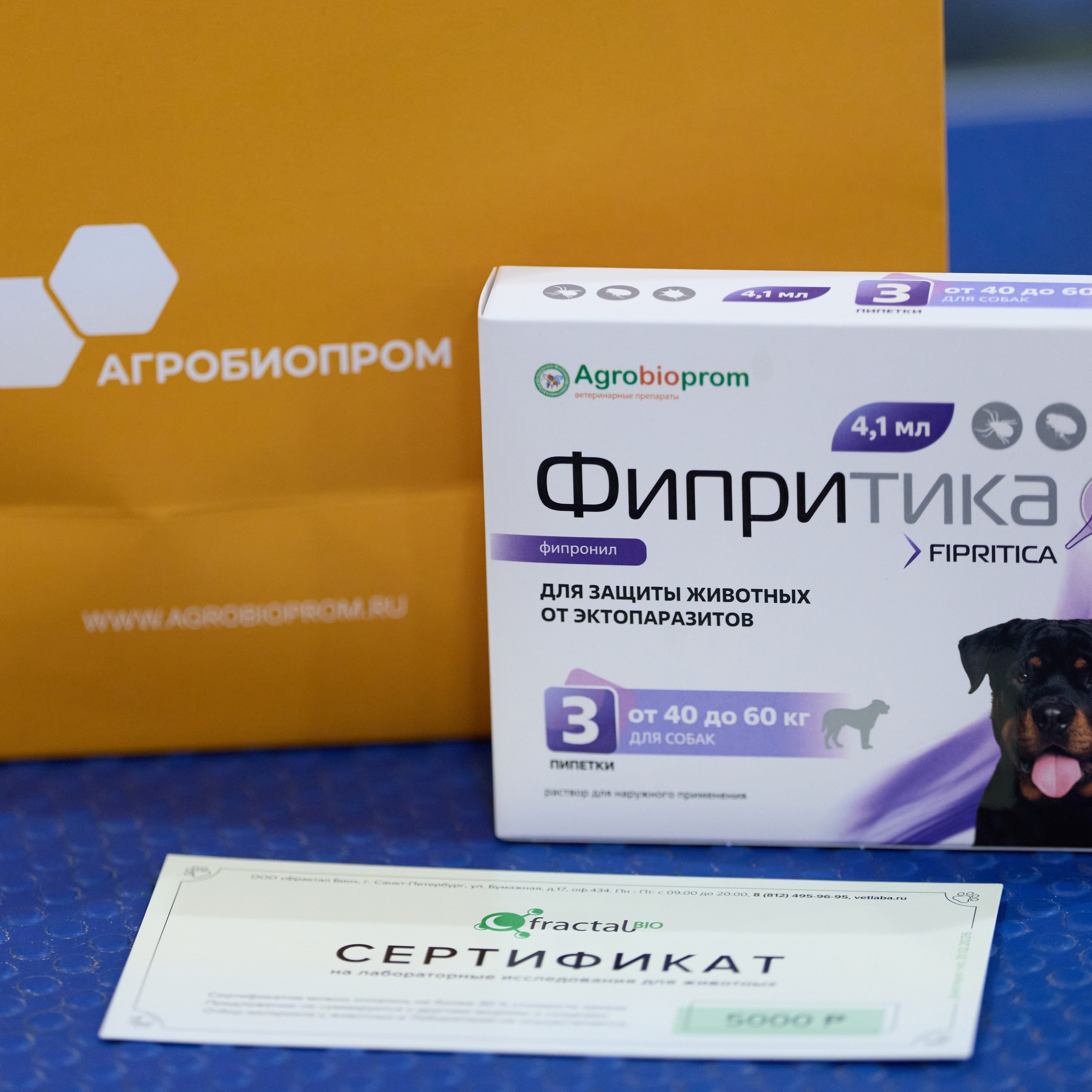 21.03.2026 СПб РОО РУССКИЙ СТИЛЬ. ВЫСТАВКА СОБАК ВСЕХ ПОРОД (САС, ЧФ). Кинологический клуб РКФ РФСС СЕНСАЦИЯ