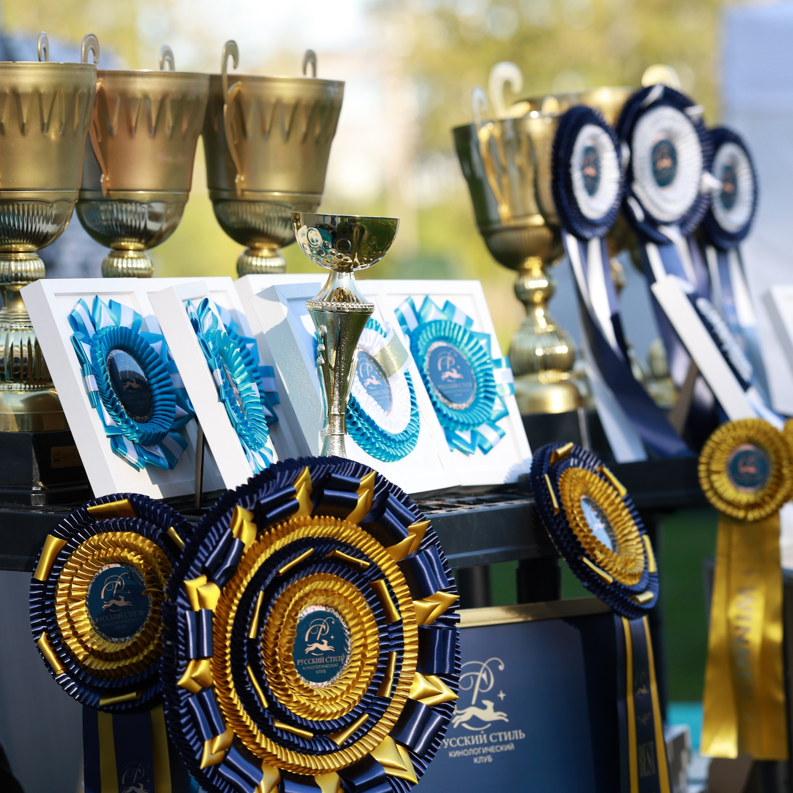 27-28.09.2025 ВЫСТАВКИ СОБАК ВСЕХ ПОРОД (САС, ЧРКФ, ЧФ). Кинологический клуб РКФ РФСС СЕНСАЦИЯ