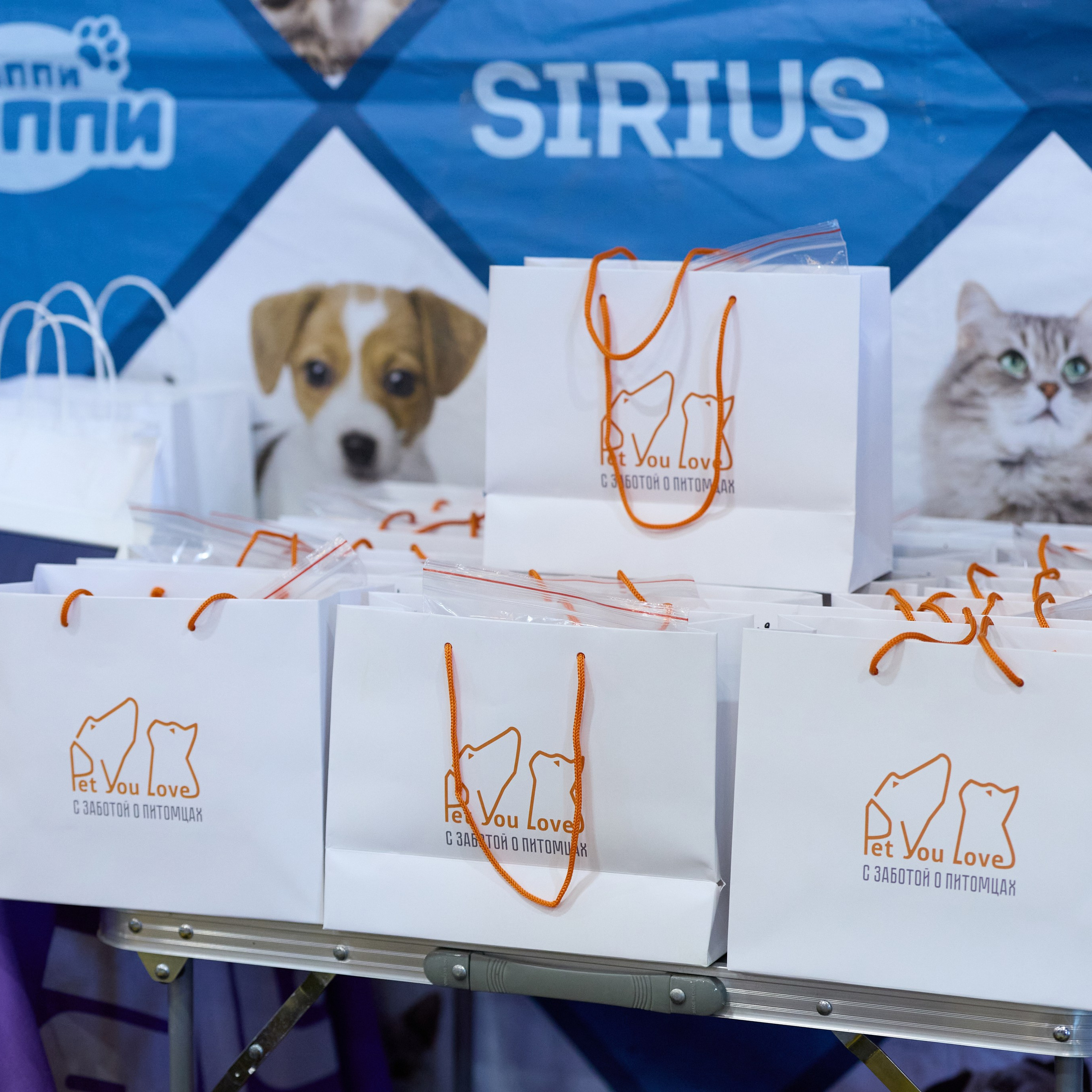 21.03.2026 СПб РОО РУССКИЙ СТИЛЬ. ВЫСТАВКА СОБАК ВСЕХ ПОРОД (САС, ЧФ). Кинологический клуб РКФ РФСС СЕНСАЦИЯ