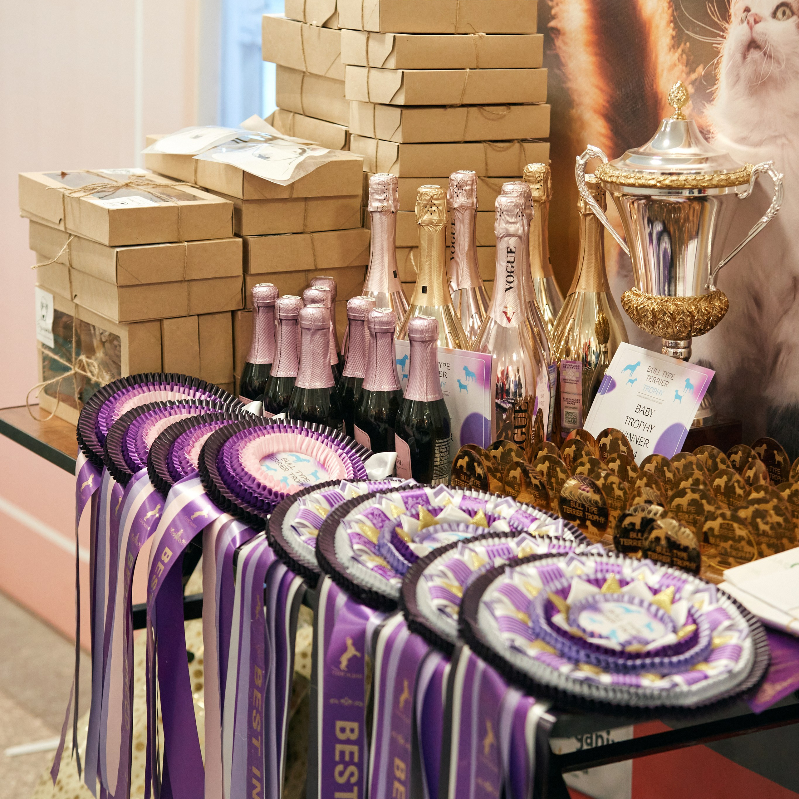 10-11.02.2024 ВЫСТАВКА СОБАК ВСЕХ ПОРОД (САС, ЧФ). Кинологический клуб РКФ РФСС СЕНСАЦИЯ