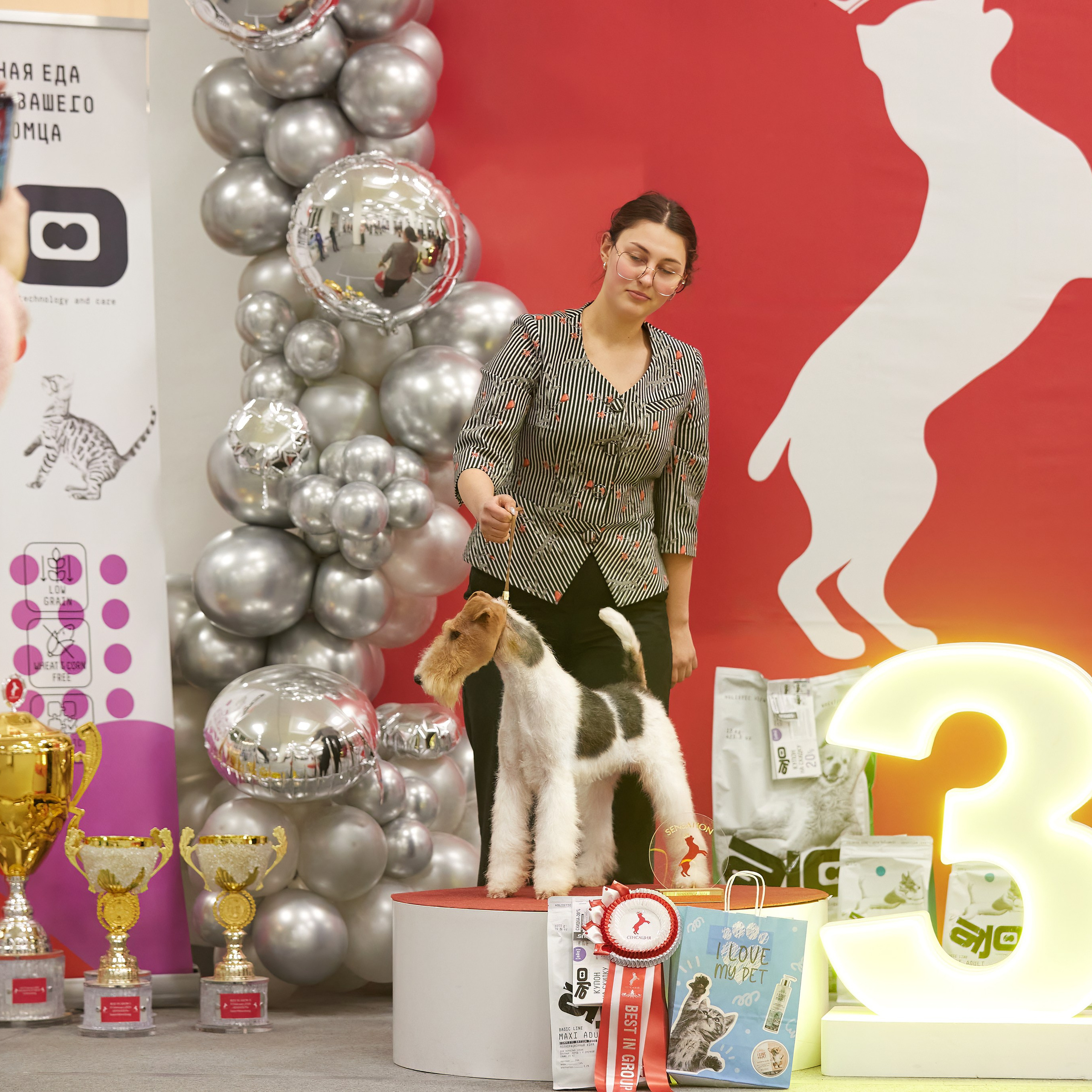 10-11.02.2024 ВЫСТАВКА СОБАК ВСЕХ ПОРОД (САС, ЧФ). Кинологический клуб РКФ РФСС СЕНСАЦИЯ