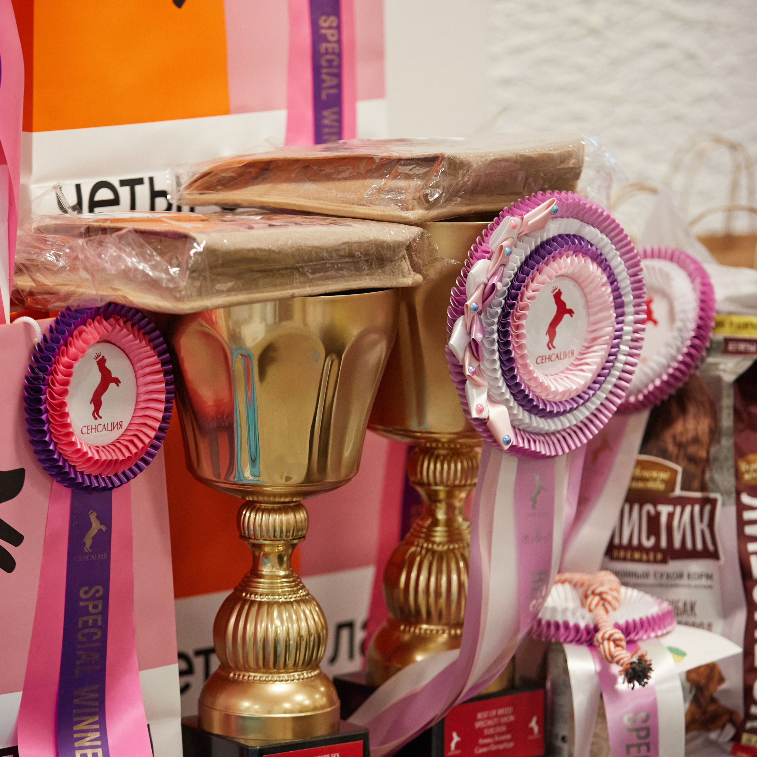 10-11.02.2024 ВЫСТАВКА СОБАК ВСЕХ ПОРОД (САС, ЧФ). Кинологический клуб РКФ РФСС СЕНСАЦИЯ