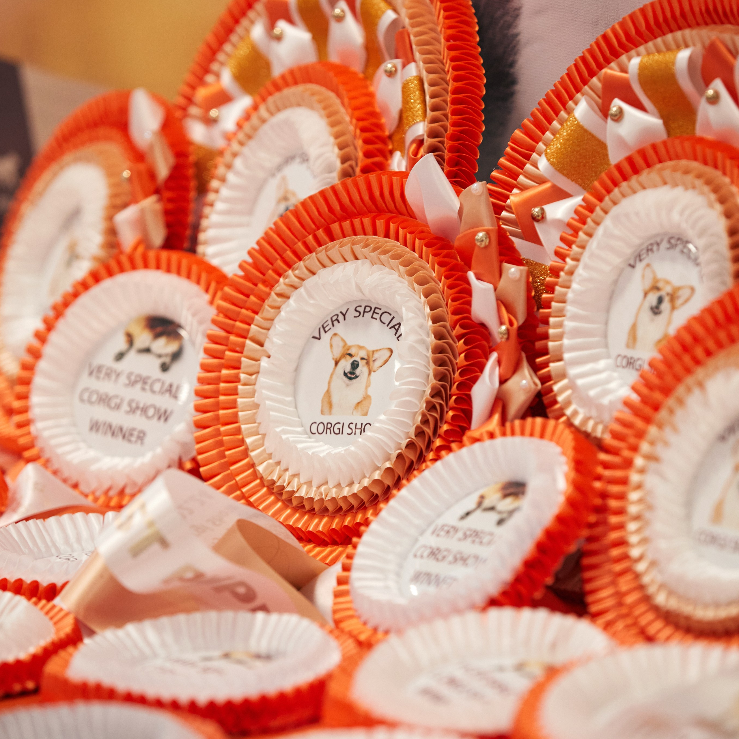 10-11.02.2024 ВЫСТАВКА СОБАК ВСЕХ ПОРОД (САС, ЧФ). Кинологический клуб РКФ РФСС СЕНСАЦИЯ