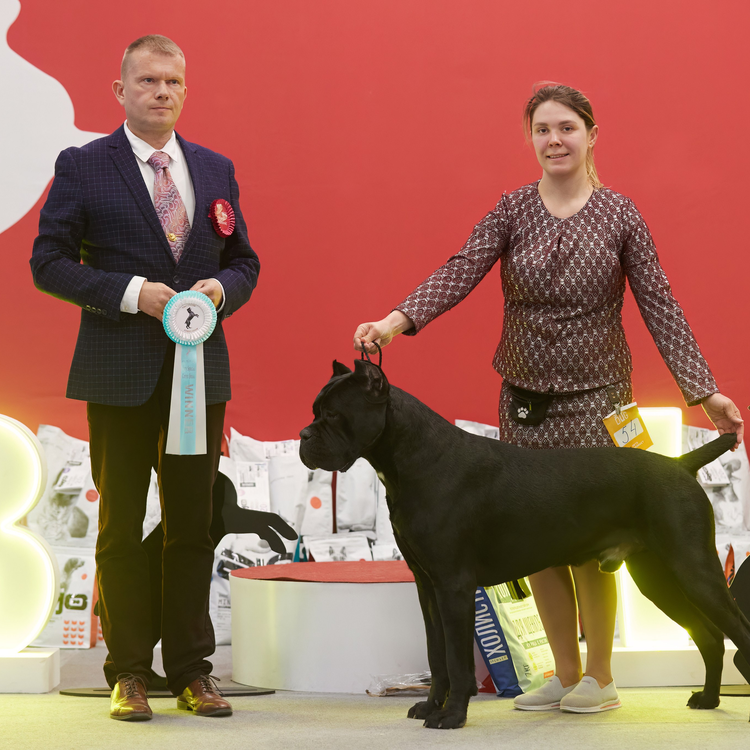 10-11.02.2024 ВЫСТАВКА СОБАК ВСЕХ ПОРОД (САС, ЧФ). Кинологический клуб РКФ РФСС СЕНСАЦИЯ