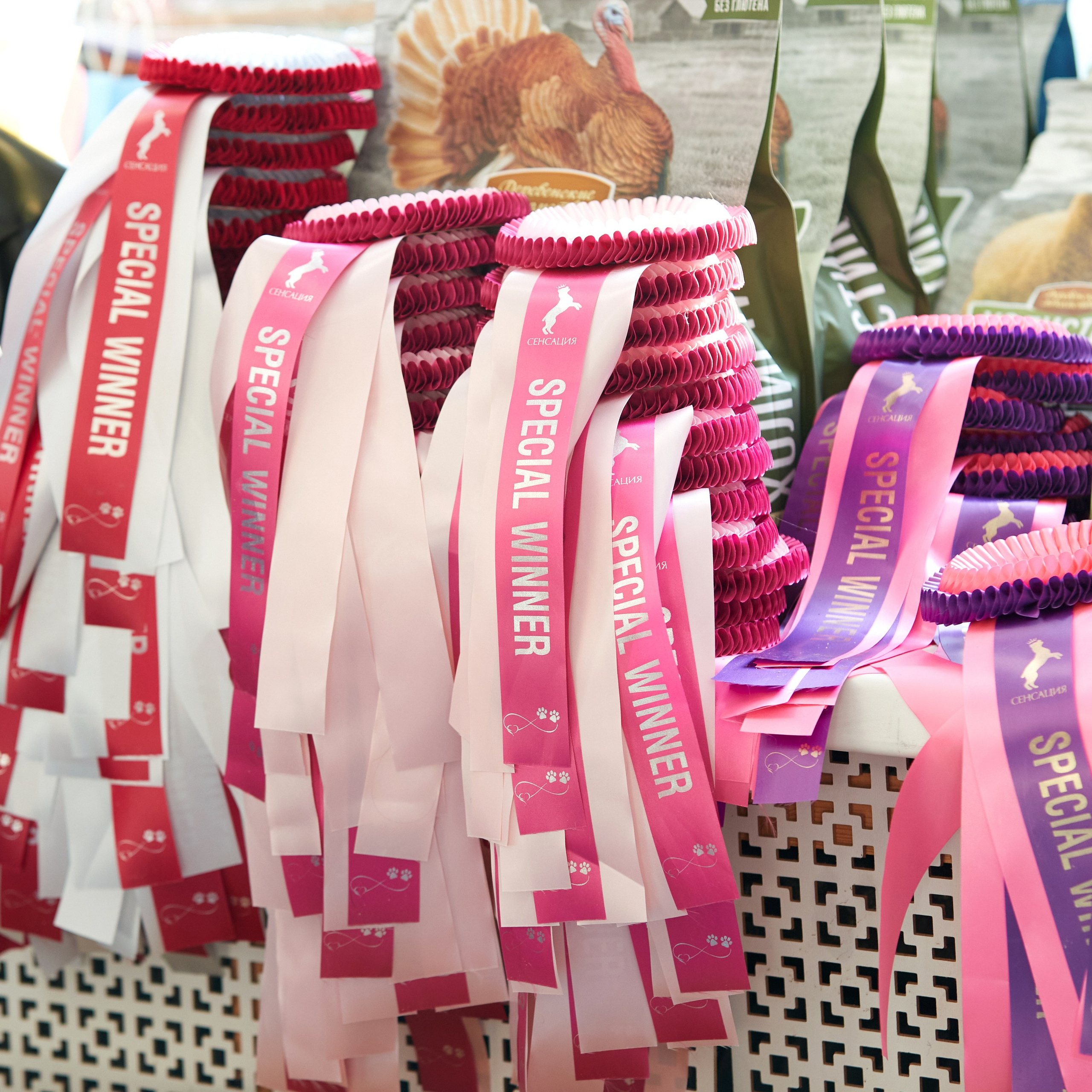 10-11.02.2024 ВЫСТАВКА СОБАК ВСЕХ ПОРОД (САС, ЧФ). Кинологический клуб РКФ РФСС СЕНСАЦИЯ