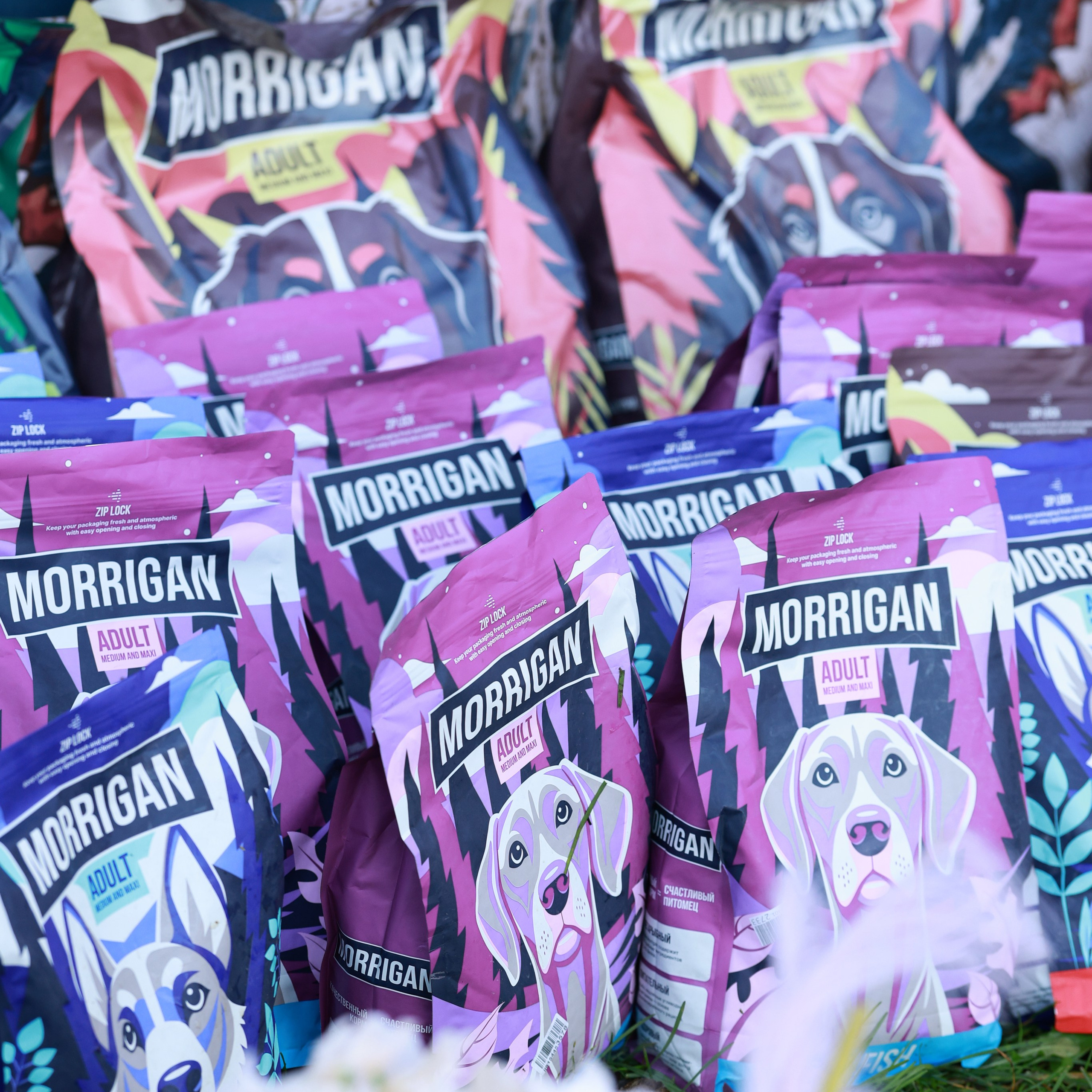 27-28.09.2025 ВЫСТАВКИ СОБАК ВСЕХ ПОРОД (САС, ЧРКФ, ЧФ). Кинологический клуб РКФ РФСС СЕНСАЦИЯ