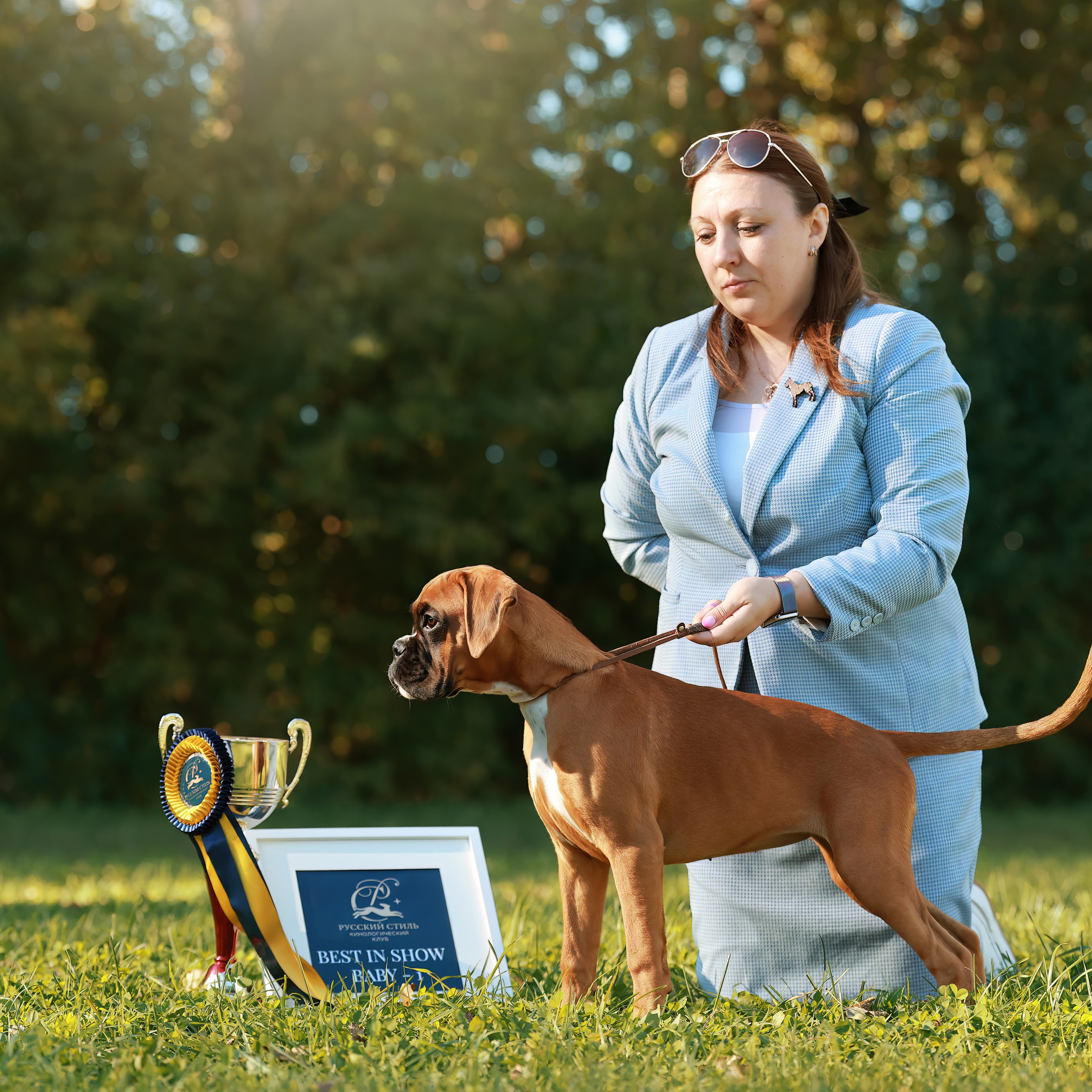 27-28.09.2025 ВЫСТАВКИ СОБАК ВСЕХ ПОРОД (САС, ЧРКФ, ЧФ). Кинологический клуб РКФ РФСС СЕНСАЦИЯ