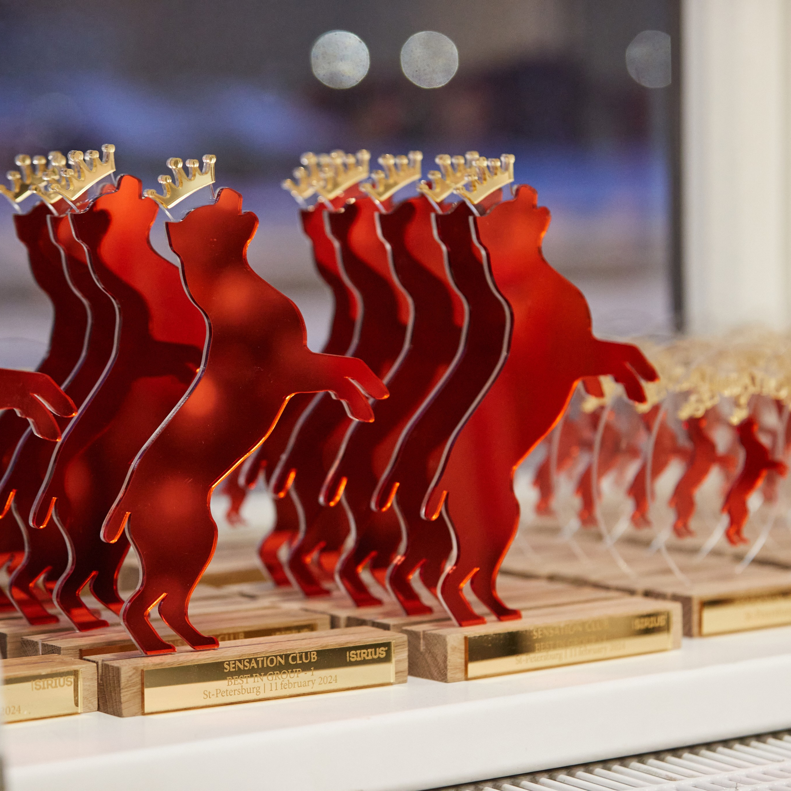 10-11.02.2024 ВЫСТАВКА СОБАК ВСЕХ ПОРОД (САС, ЧФ). Кинологический клуб РКФ РФСС СЕНСАЦИЯ