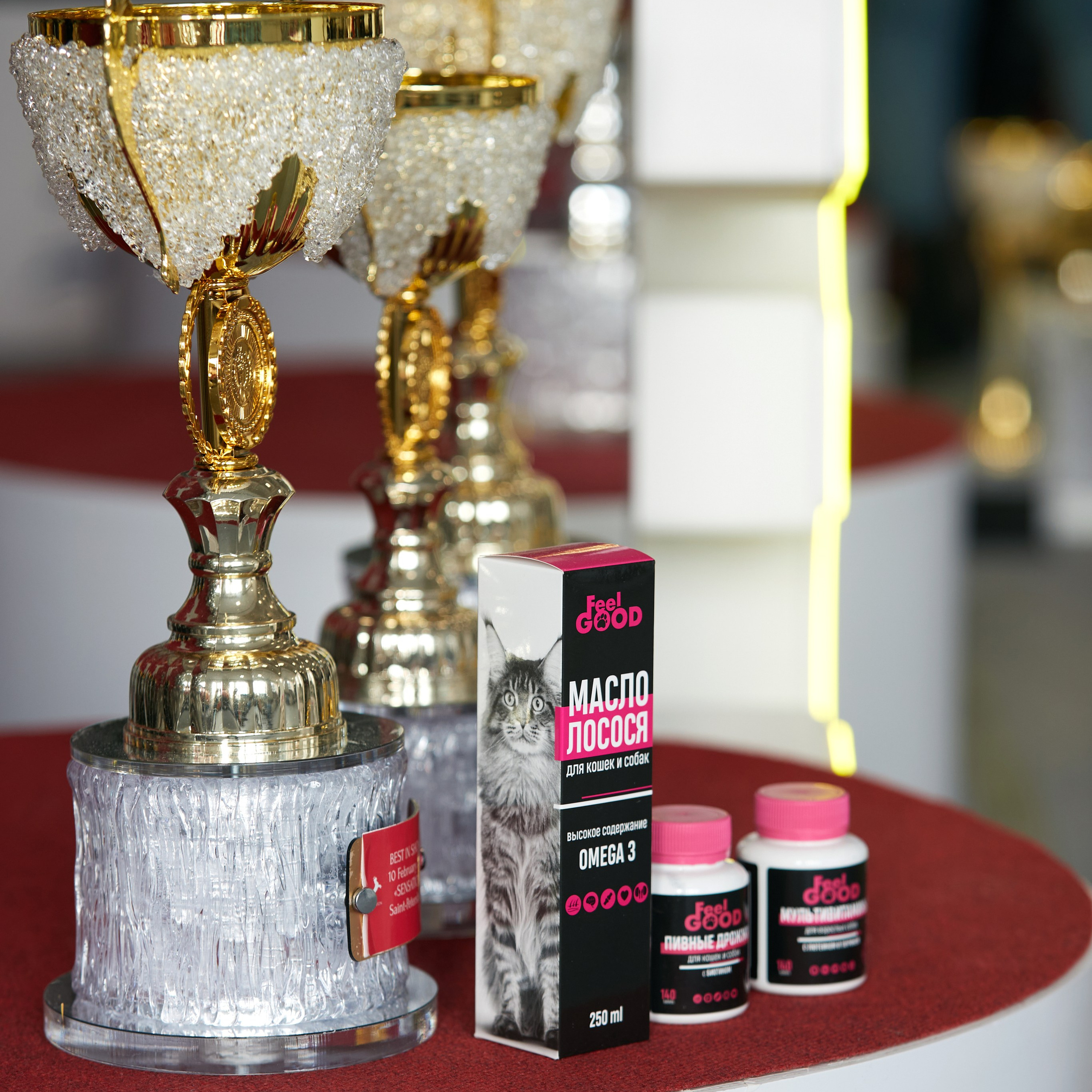 10-11.02.2024 ВЫСТАВКА СОБАК ВСЕХ ПОРОД (САС, ЧФ). Кинологический клуб РКФ РФСС СЕНСАЦИЯ