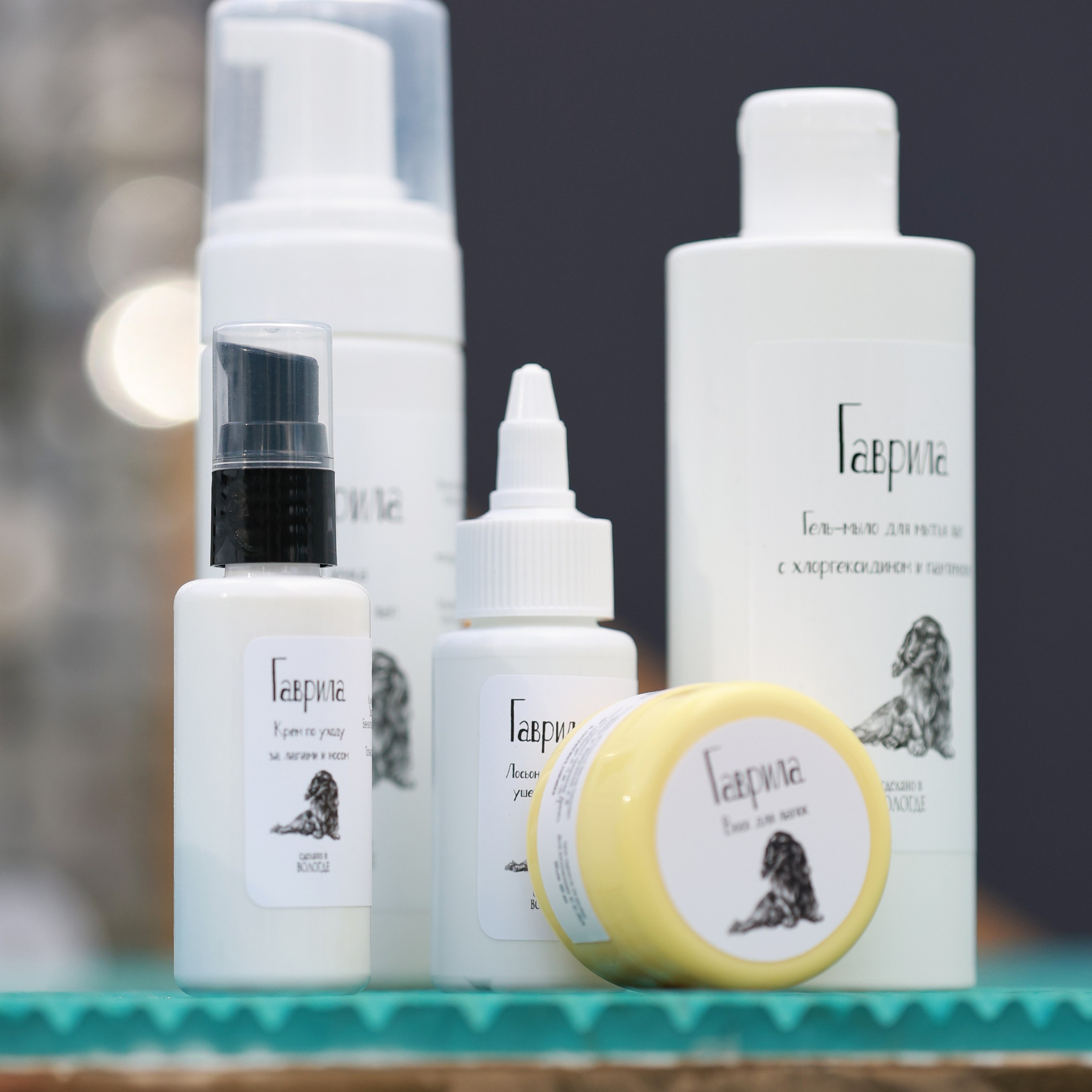 27-28.09.2025 ВЫСТАВКИ СОБАК ВСЕХ ПОРОД (САС, ЧРКФ, ЧФ). Кинологический клуб РКФ РФСС СЕНСАЦИЯ